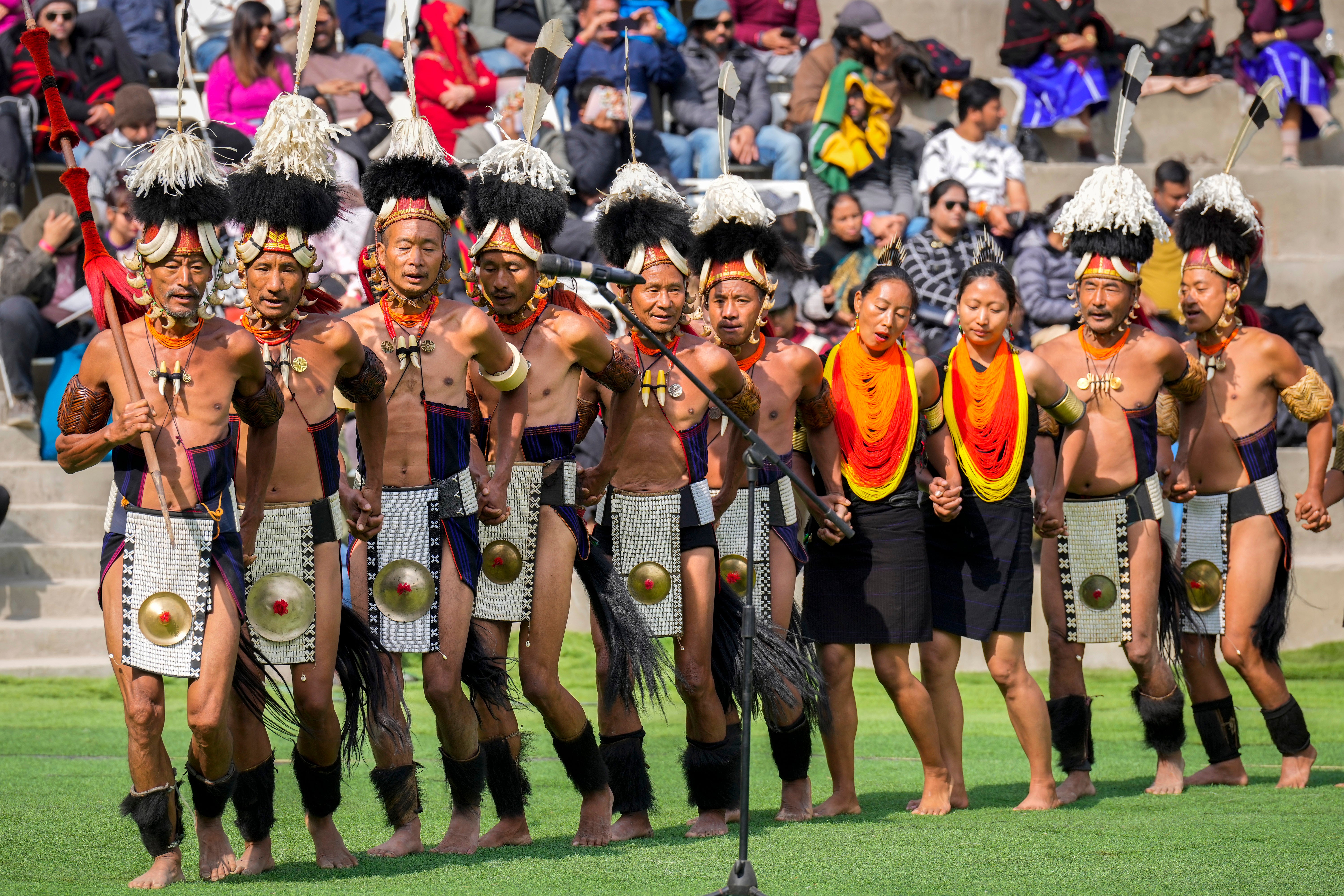India Hornbill Festival Photo Gallery