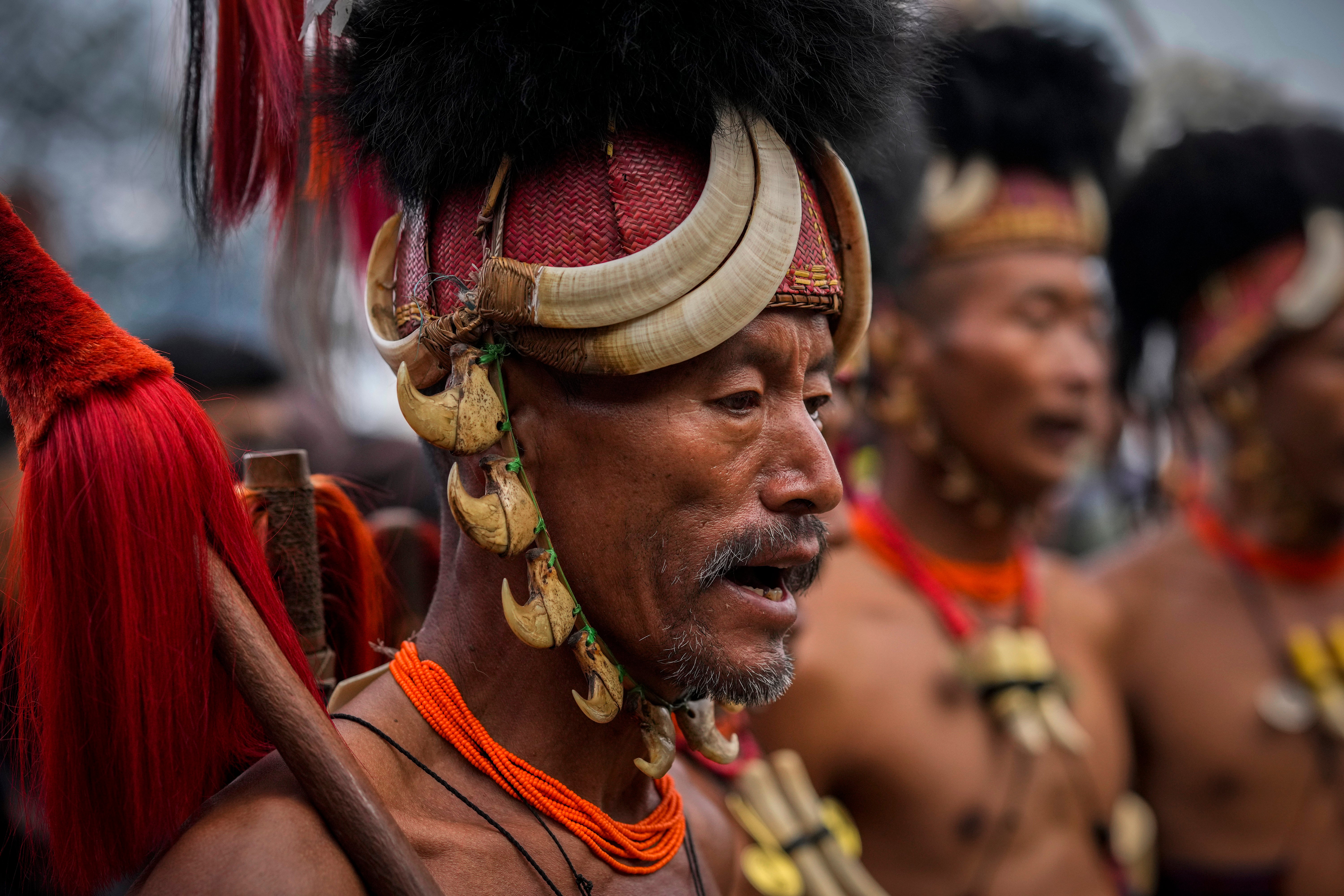 India Hornbill Festival Photo Gallery