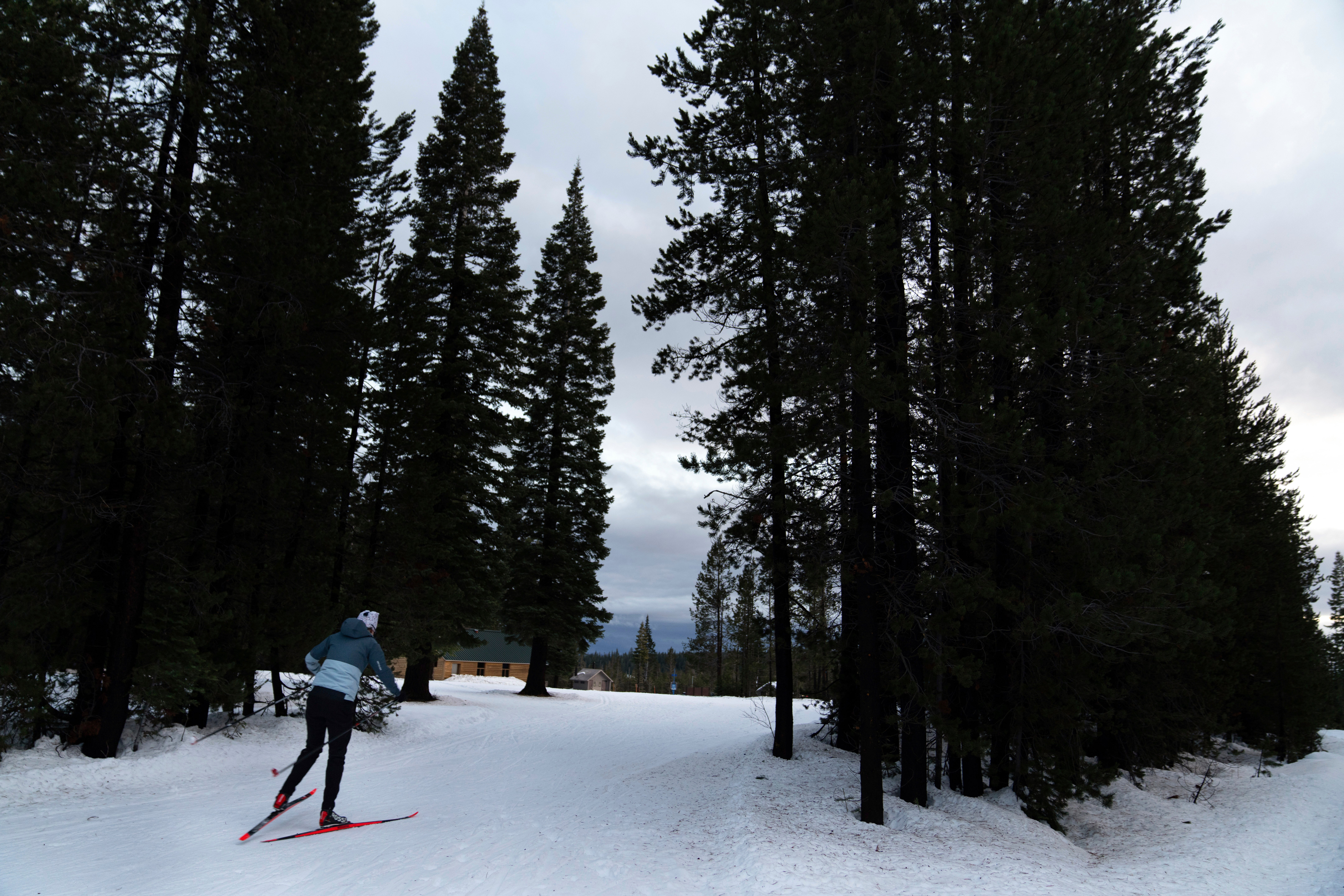 Biathlon Sexual Harassment