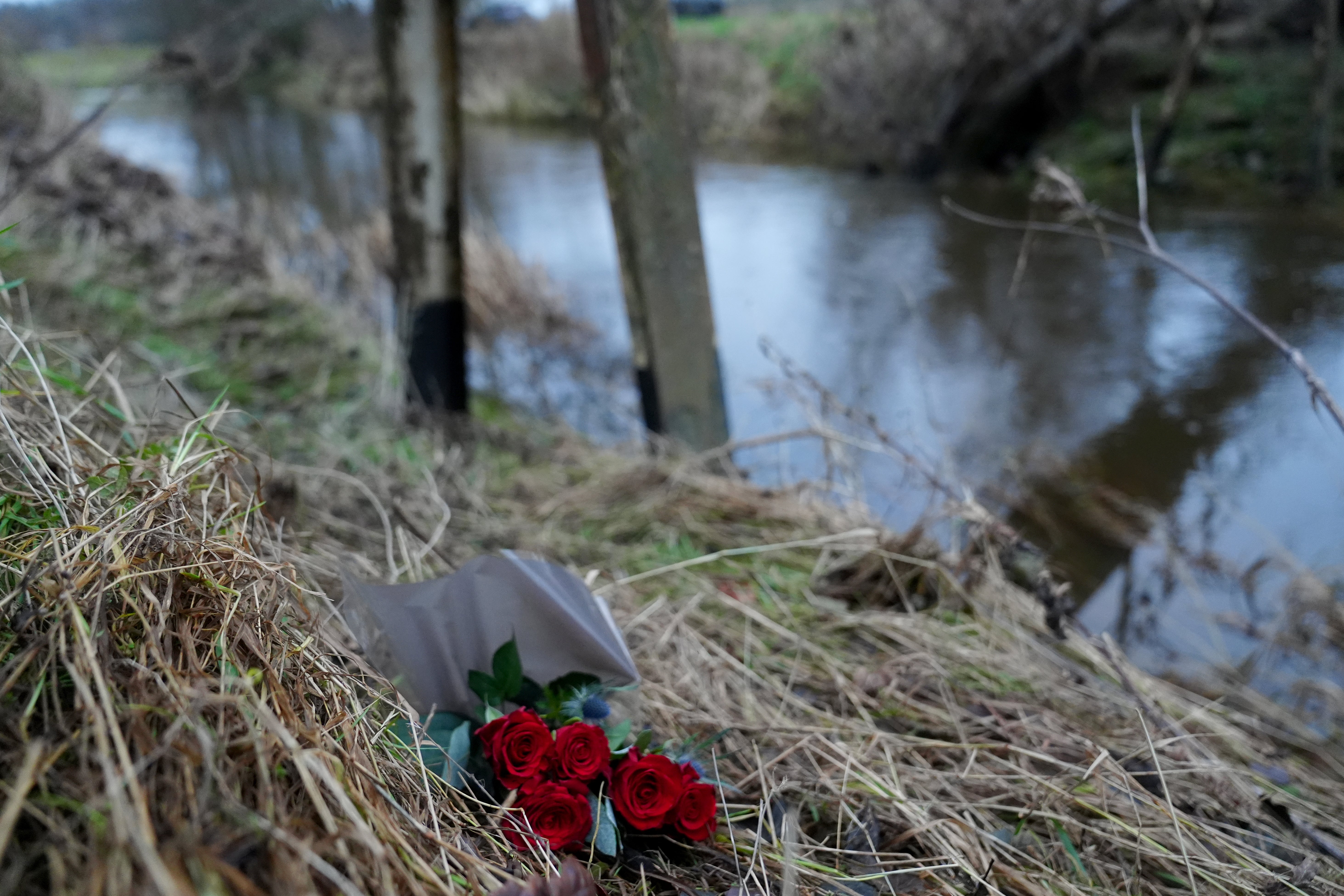 Roses are placed on the banks of the River Aln