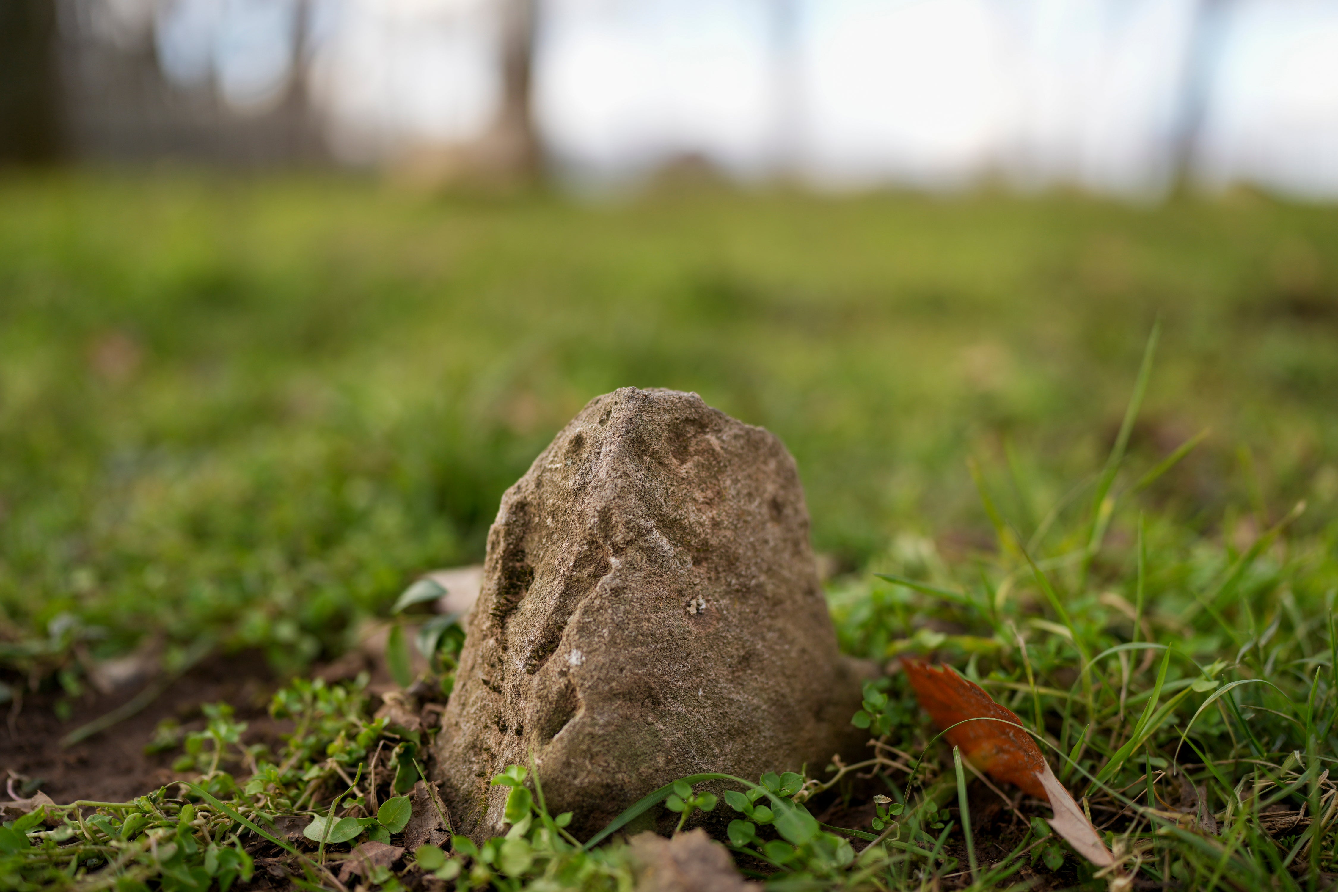 A head stone is seen in a slave cemetery Monday, Dec. 9, 2024, in Nashville, Tenn