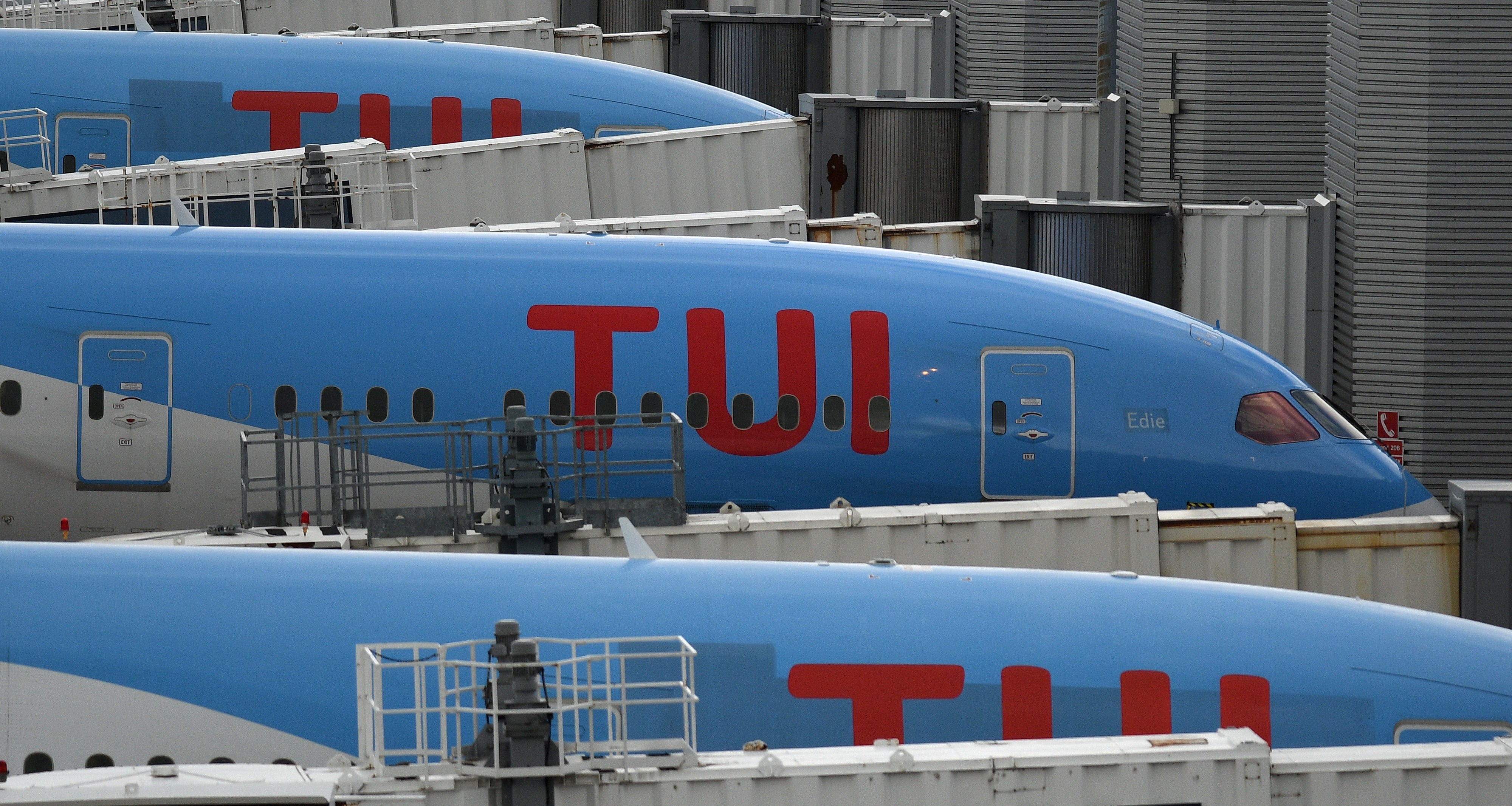<p>Airlines like Tui price their trips according to the degree of demand</p>