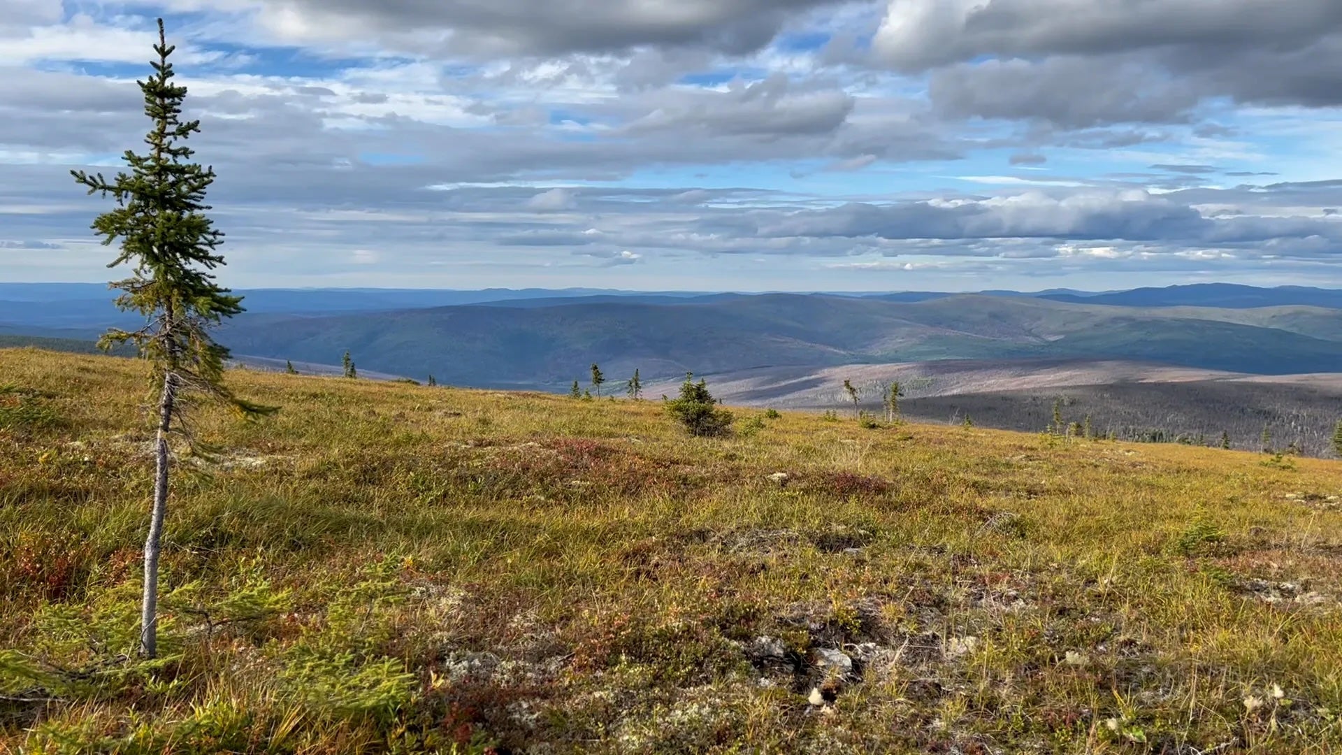 A fire scar is seen outside Fairbanks, Alaska, in August 2022. Wildfire emissions and thawing permafrost have contributed to changes in the Arctic’s tundra, scientists say