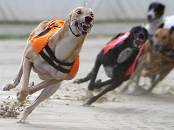 Owners miss out on race money in weeks when females can’t run