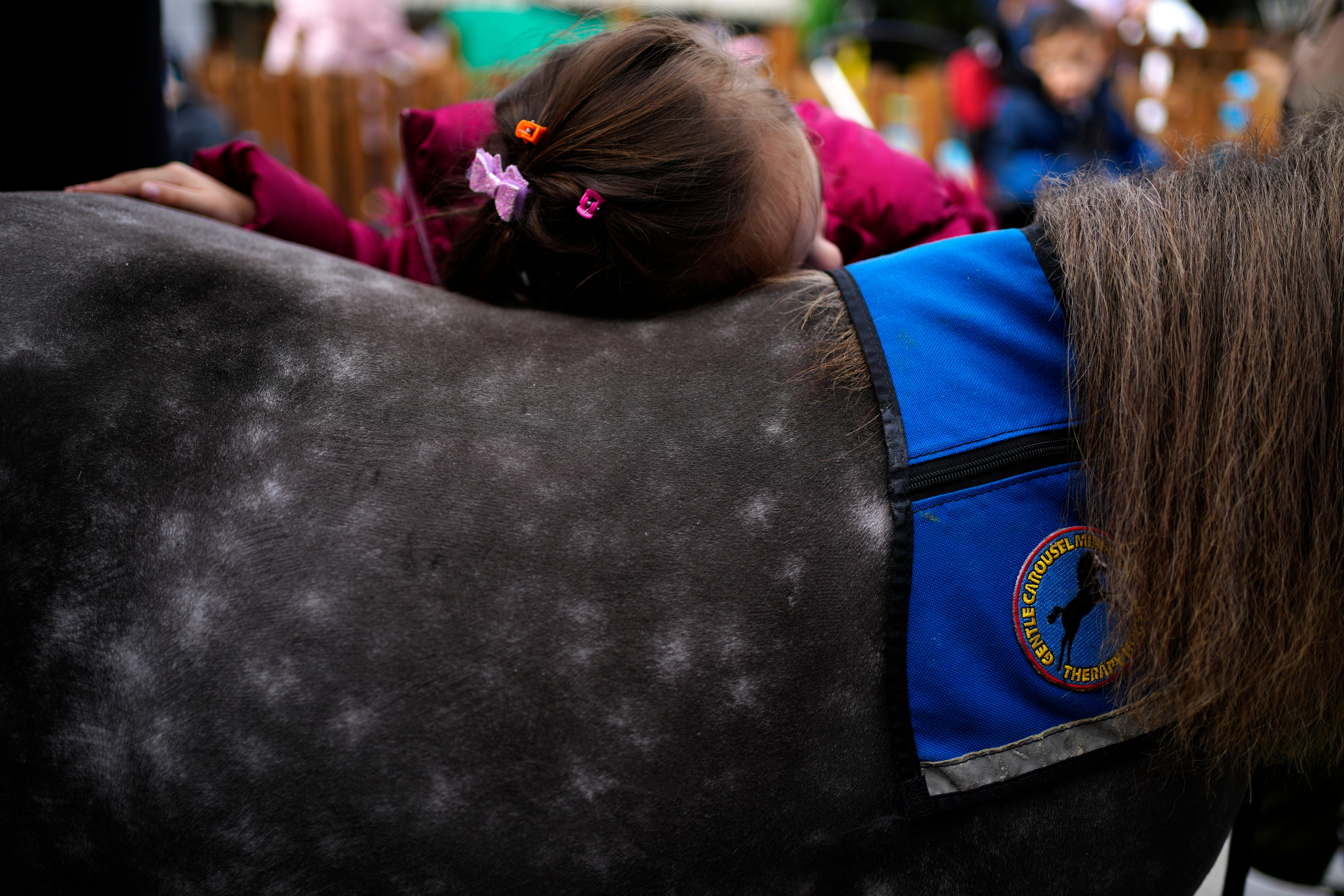 A student at a school for disabled children hugs Ivi, a miniature horse used for therapy programs, in Athens, Greece