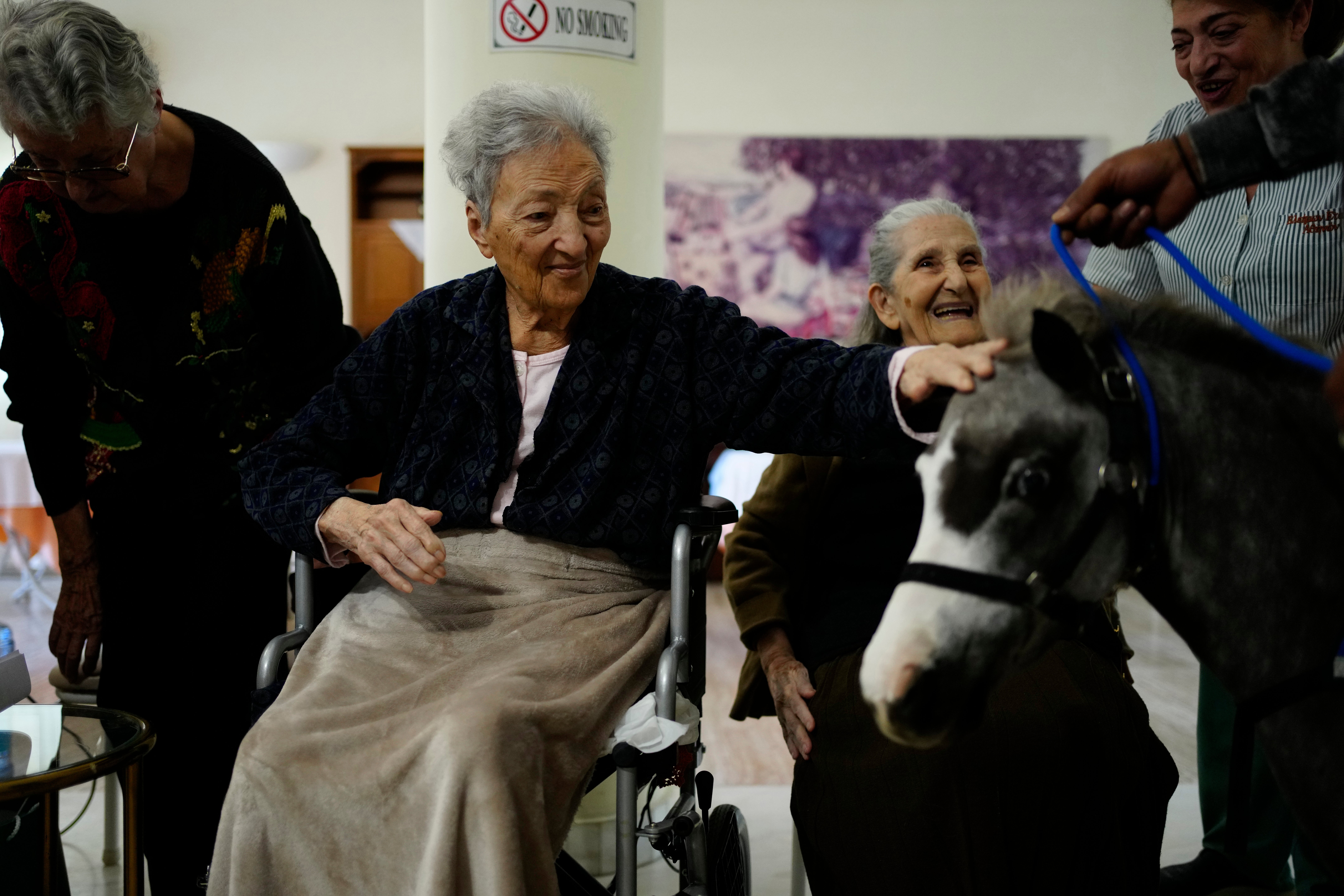 Greece Miniature Horse A resident of an elderly care home pats Calypso, a miniature horse used for therapy programs in Athens