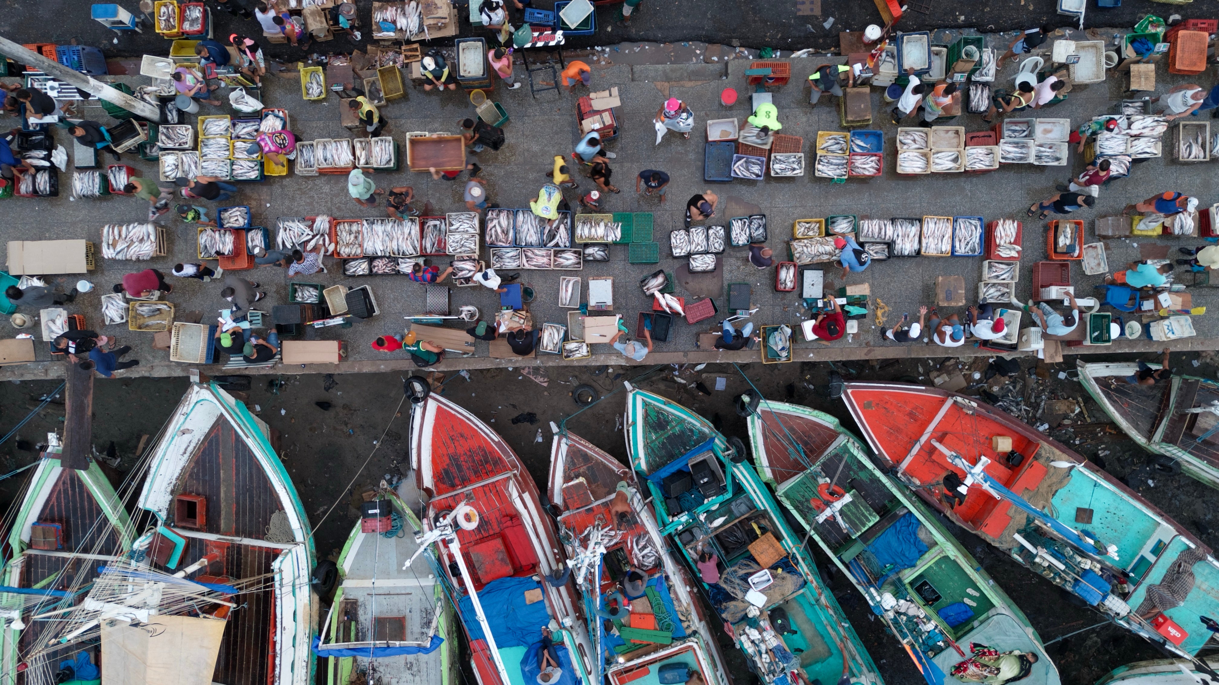 Aerial view of the Ver-o-Peso wholesale fish market in Belem, Amazonia region, Para State