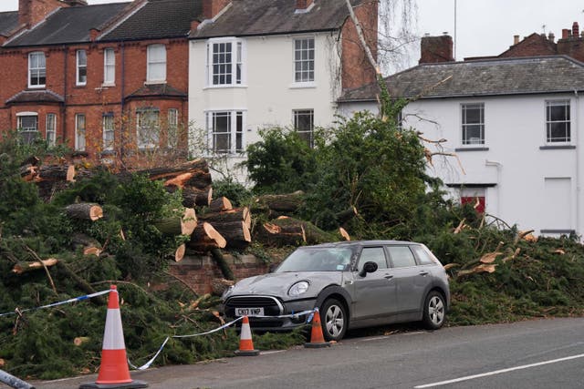 A cedar tree fell in Leamington Spa, during Storm Darragh (Jacob King/PA)