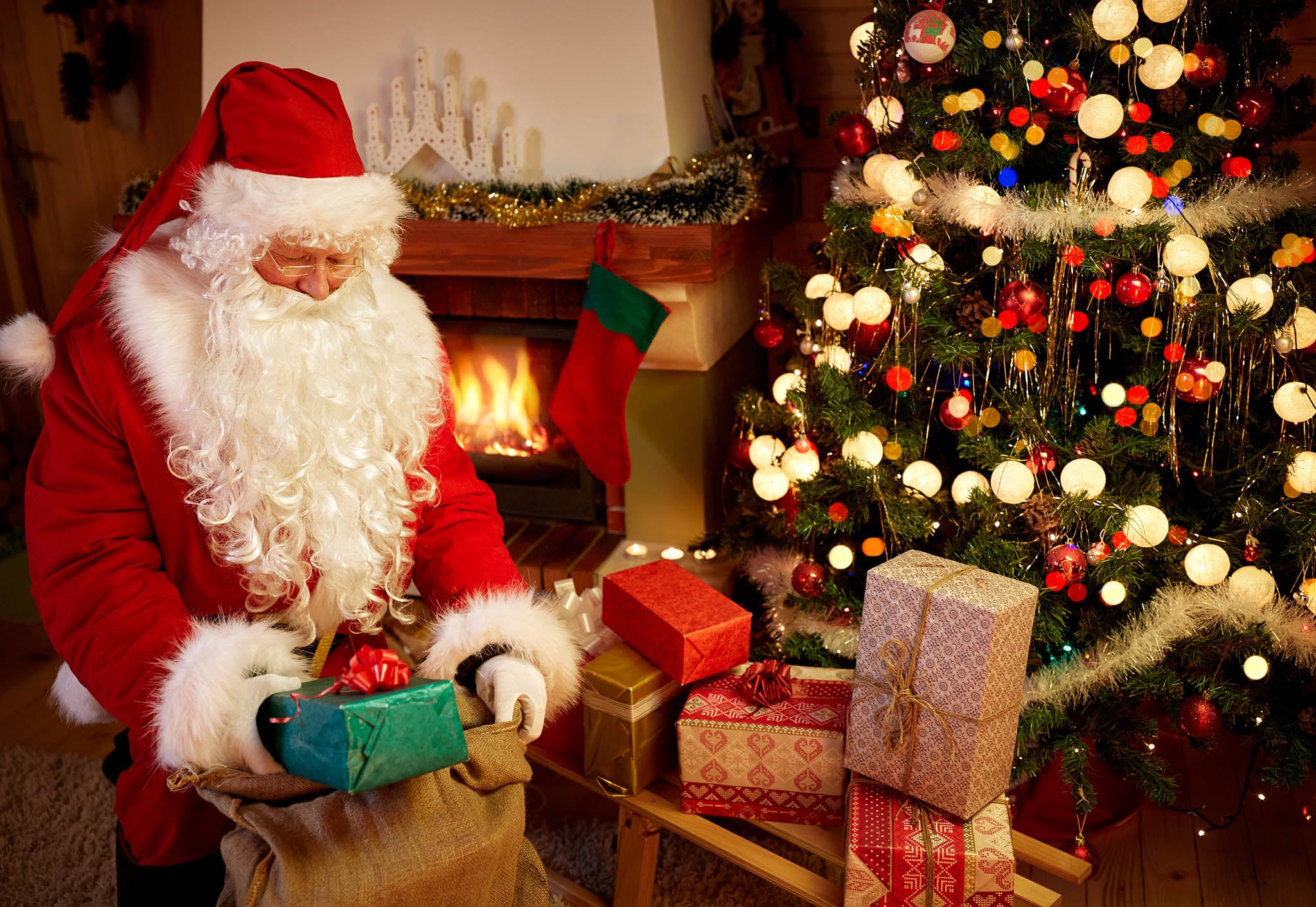 Garden centres offer a host of events at Christmas
