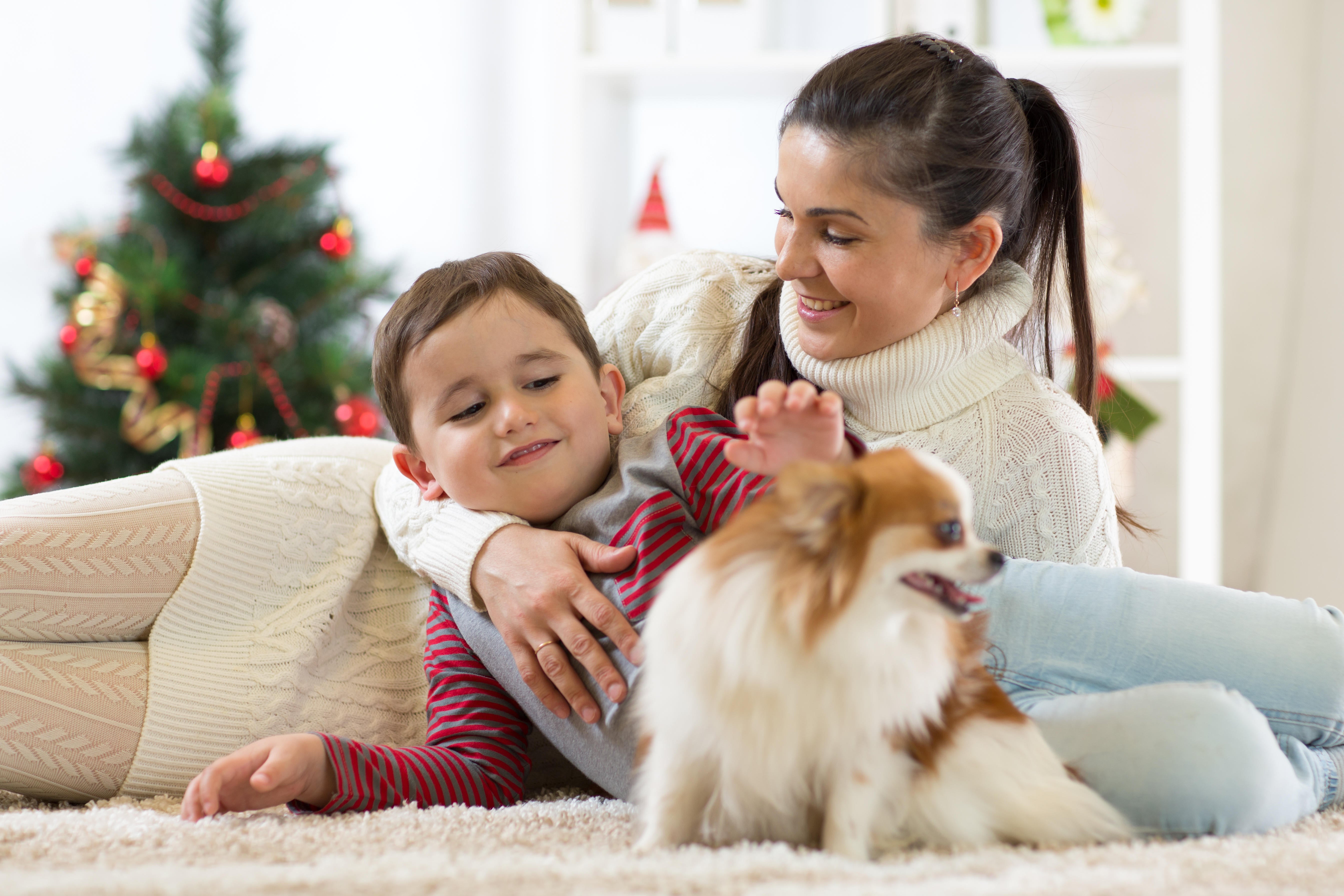 Puppies need loving owners with time on their hands to care for them (Alamy/PA)