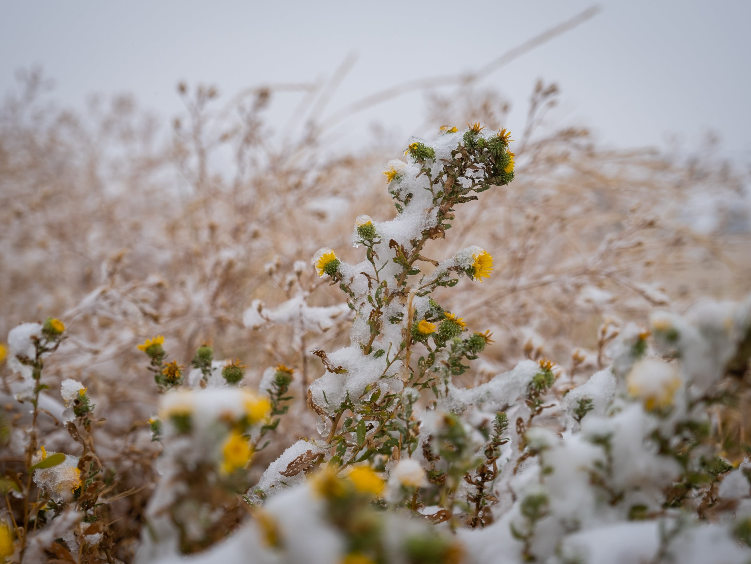 ‘Noticing nature doesn’t have to take time; it is about moments, not minutes’