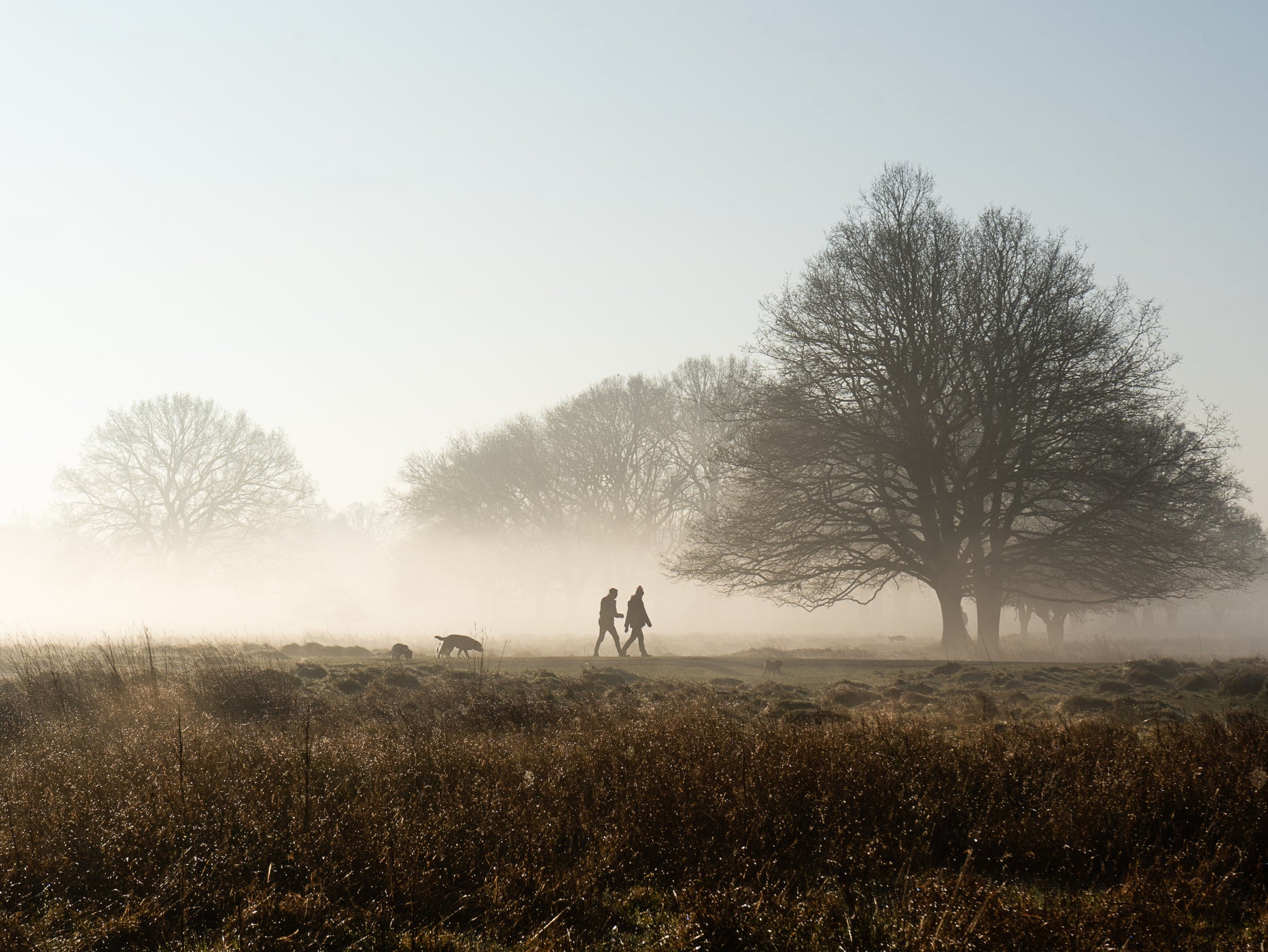 A large-scale study has found that mornings are often when people are at their peak