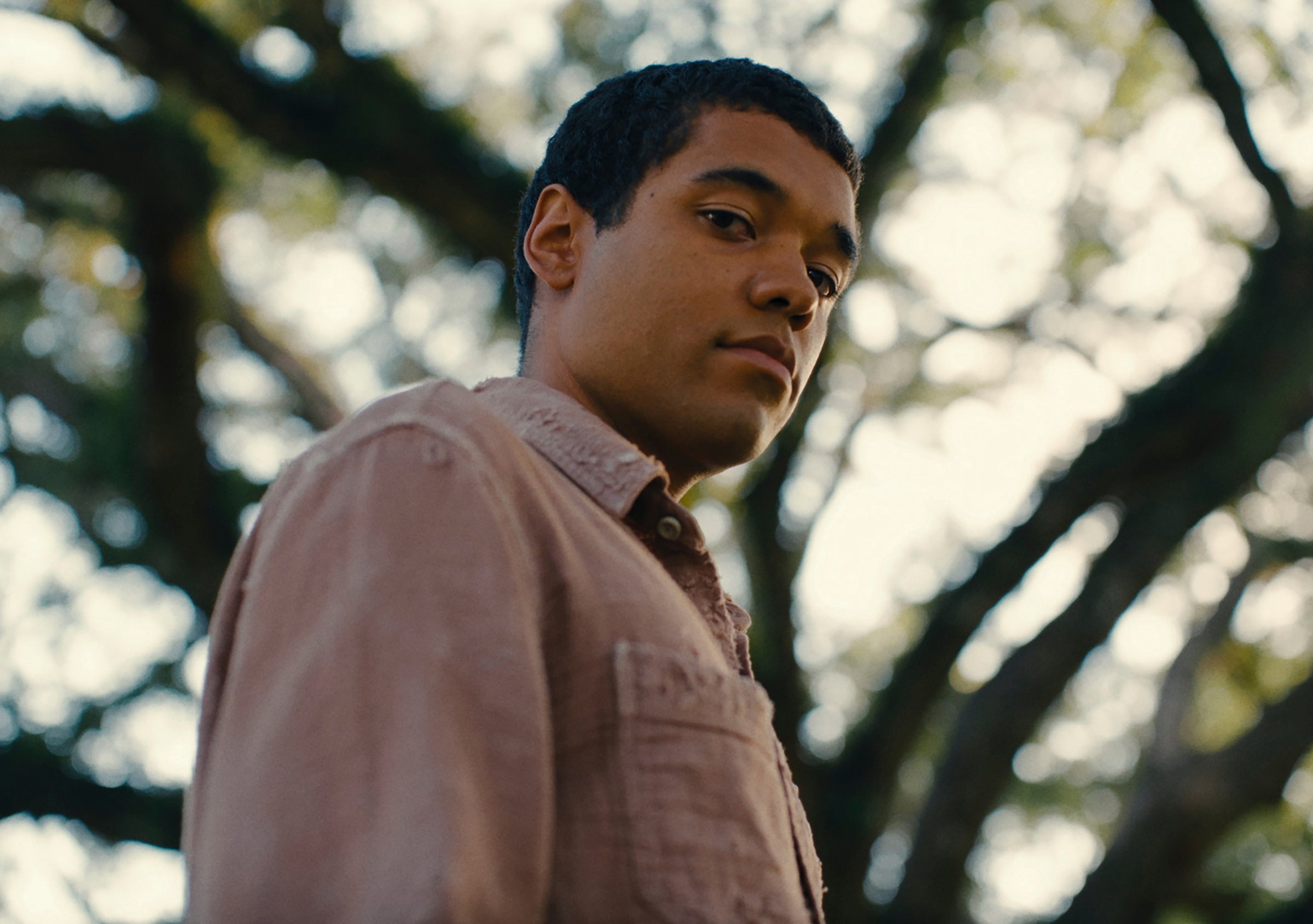 Leading role: Wilson as the effortlessly charming Turner in ‘Nickel Boys’