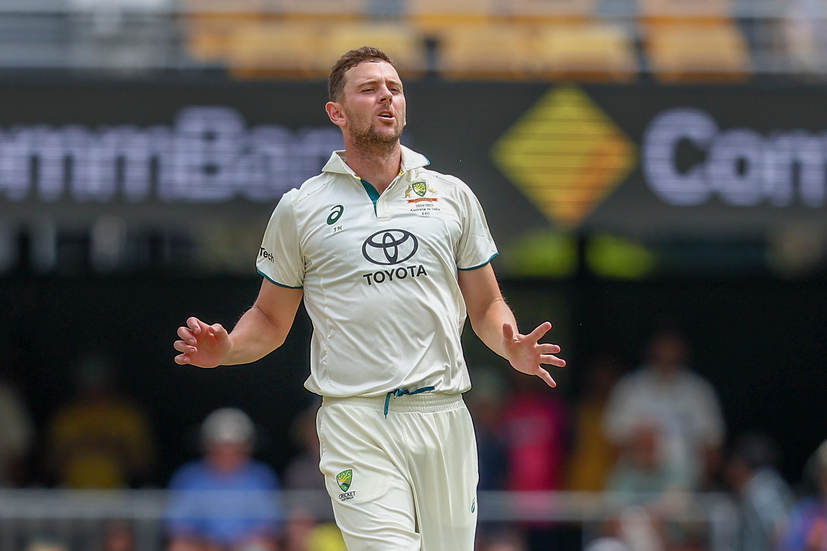 Josh Hazlewood reacts after bowling a ball (Pat Hoelscher/AP)