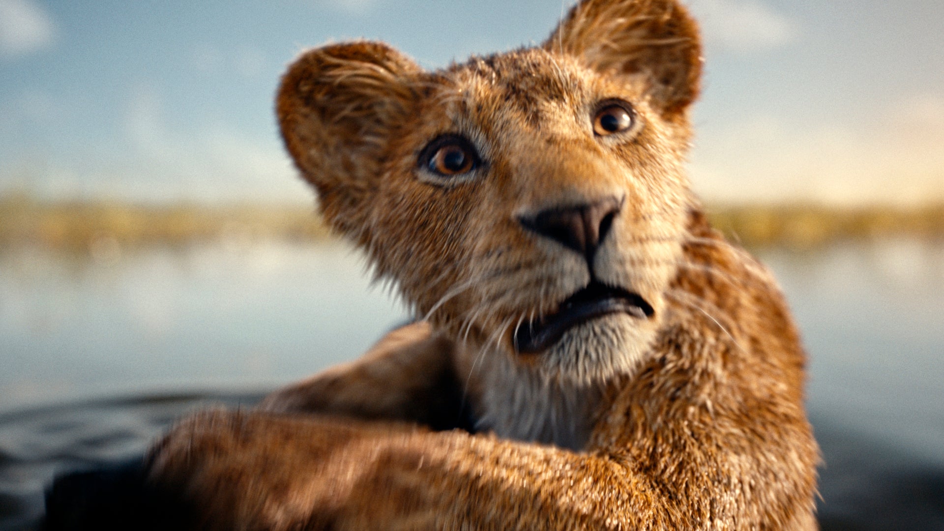 El joven Mufasa con la voz de Braelyn Rankins en 'Mufasa: El Rey León'