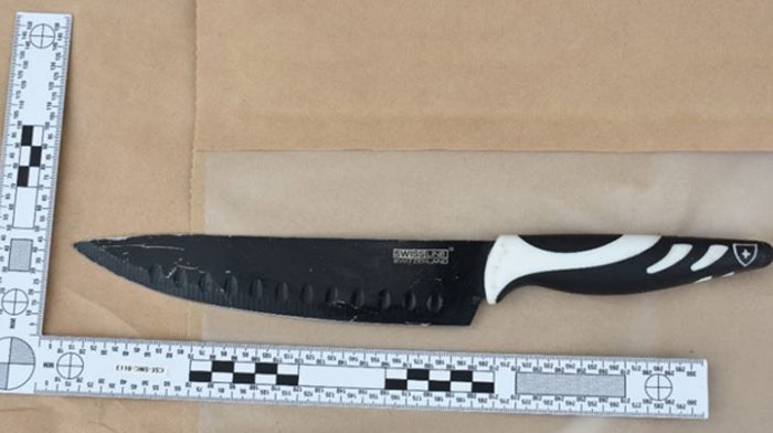 The kitchen knife used to stab Elianne in front of her horrified school friends (Met Police/PA)
