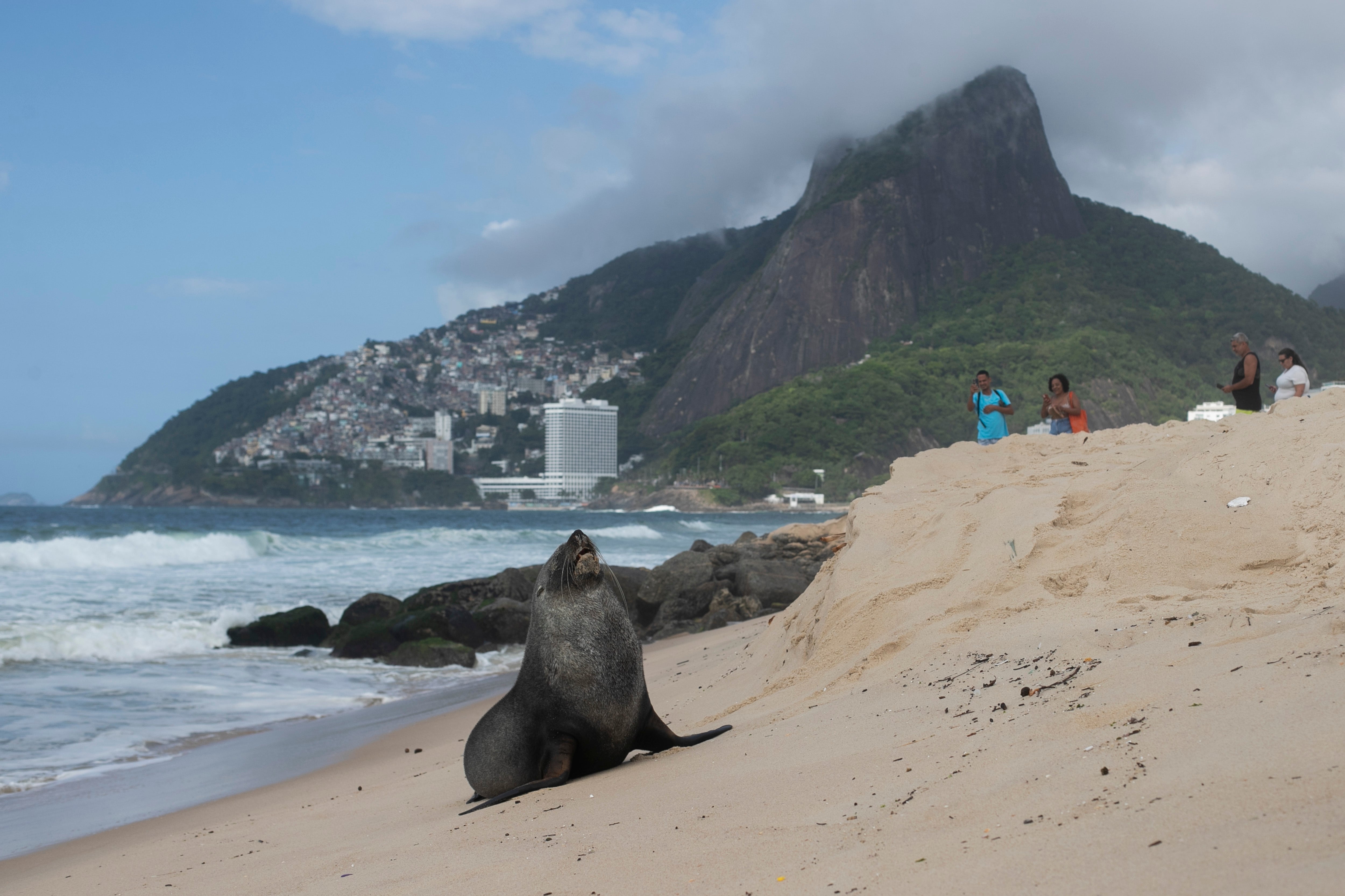 Brazil Ipanema Seal