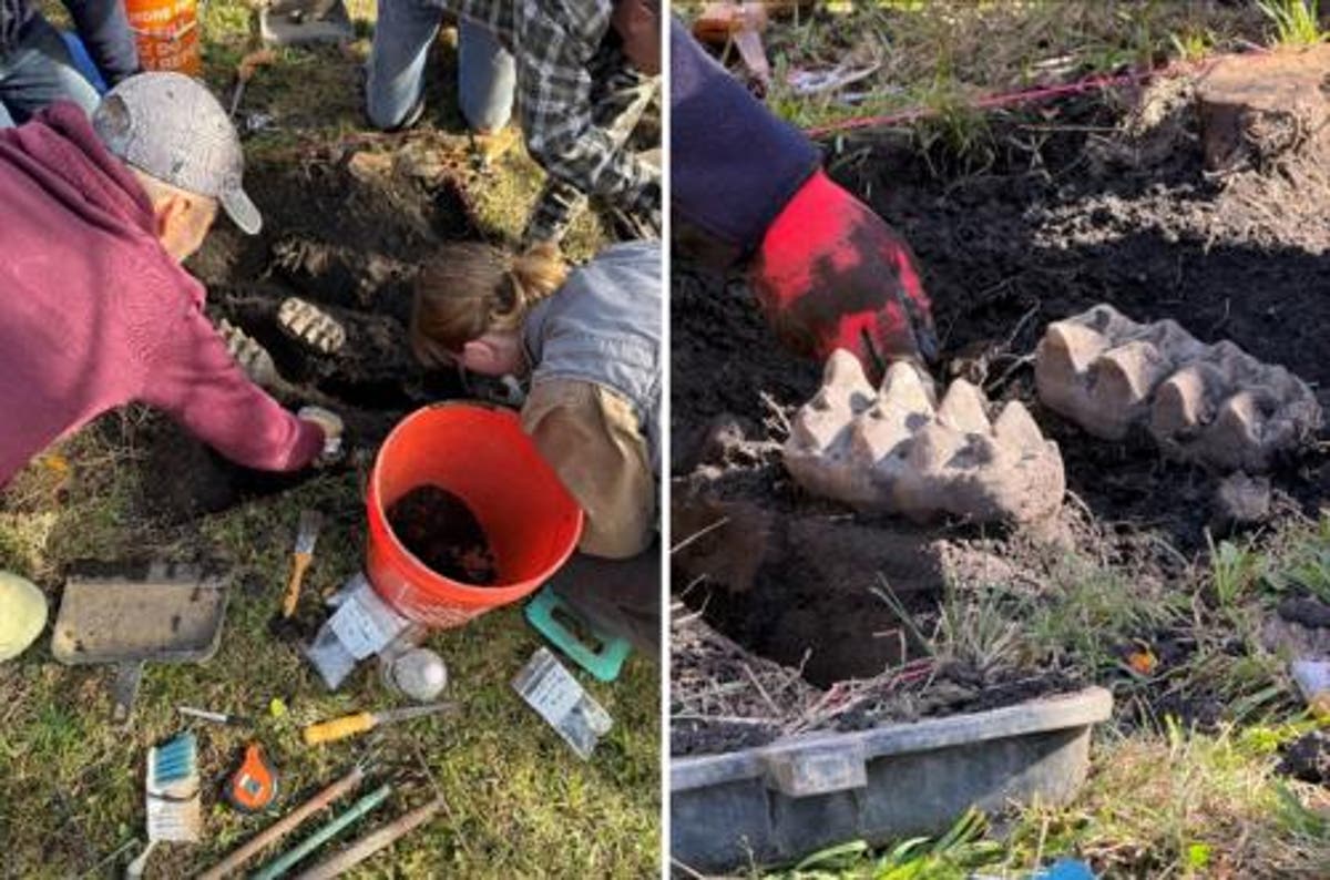 New York homeowner makes groundbreaking prehistoric discovery