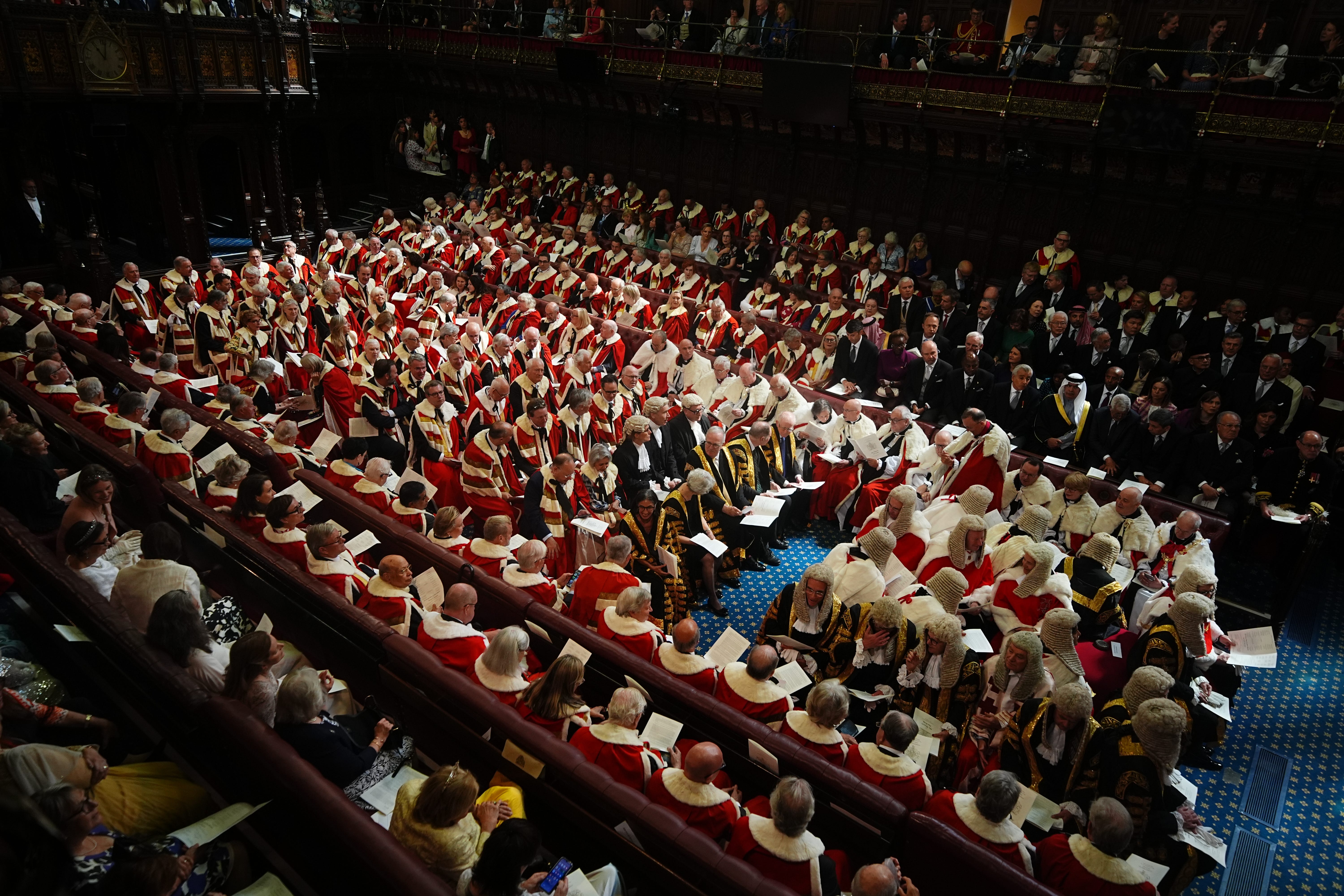 The House of Lords has some 800 members, most being life peers (Aaron Chown/PA)