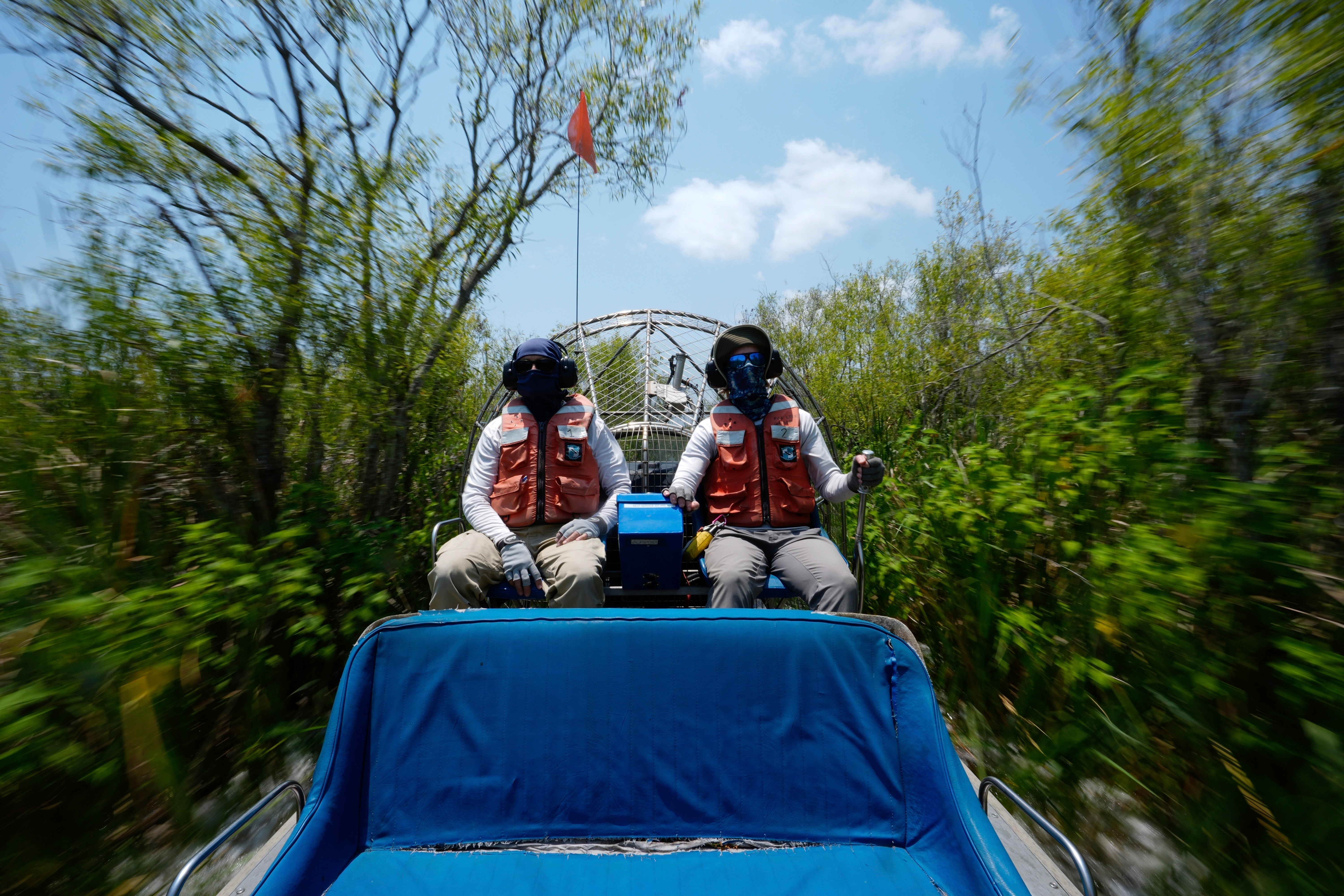 Climate Everglades Restoration Efforts Takeaways
