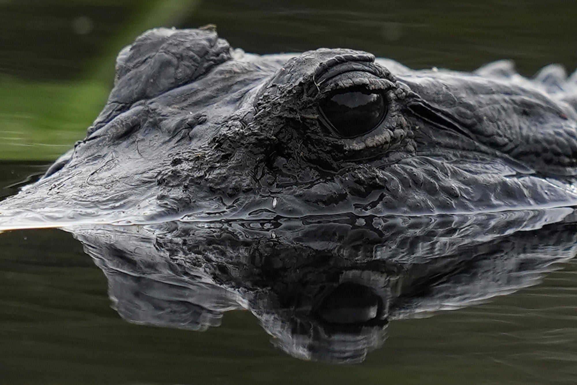 Climate Everglades Restoration Efforts Takeaways