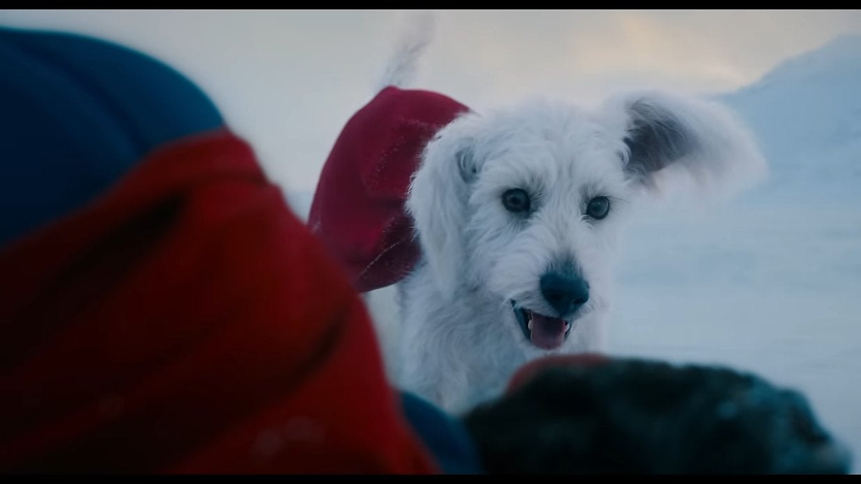 Krypto the Superdog in ‘Superman’