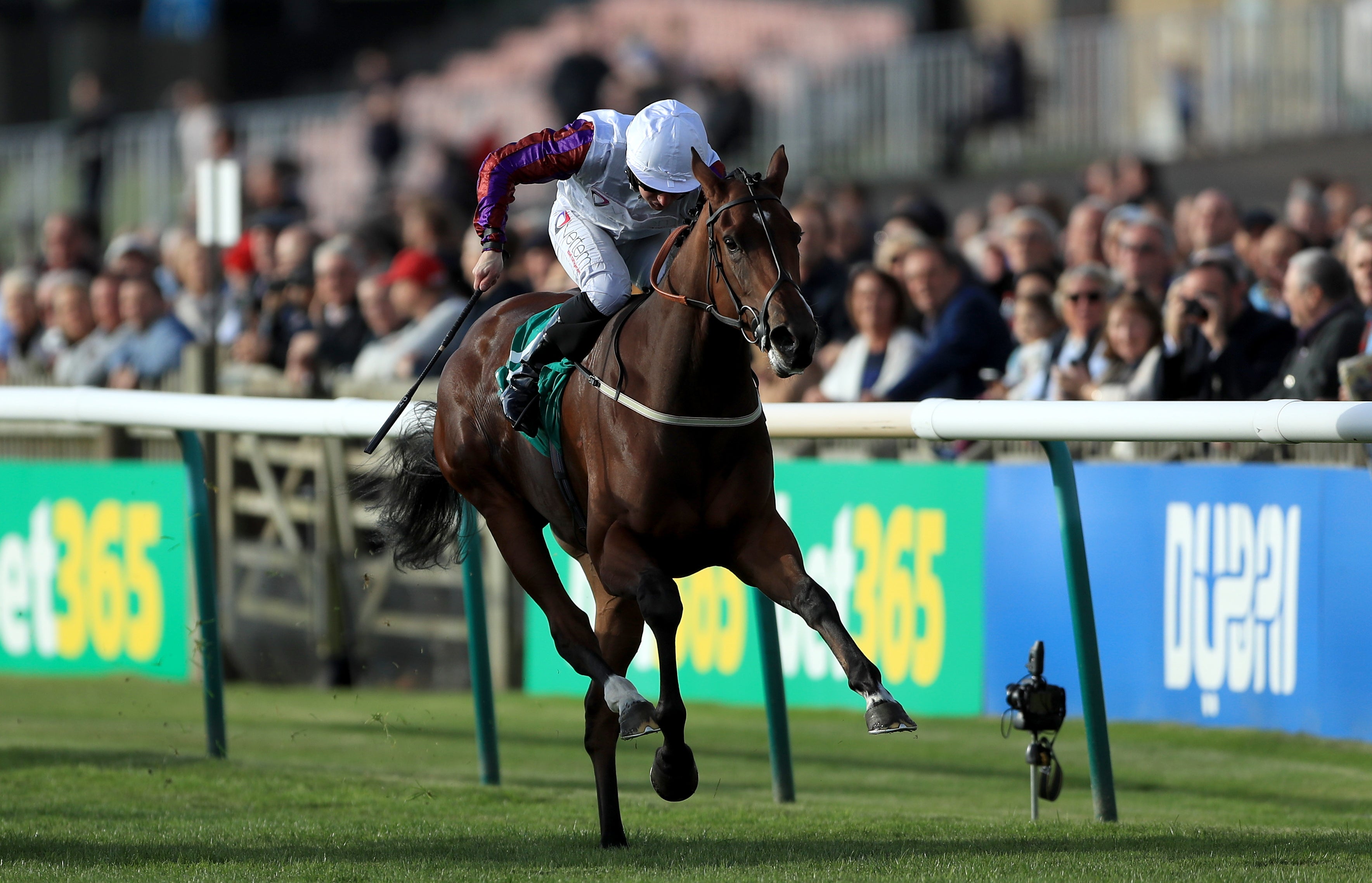 Laurens was one of John Dance’s most successful horses with six Group 1 wins