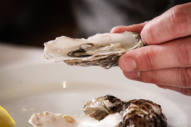 <p>The FDA advised restaurants against serving or selling oysters that were harvested by Ruco’s Shellfish from a portion of Hammersley Inlet growing area in Washington state from December 2 to December 17 due to norovirus contamination </p>