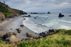 A seaweed foraging adventure along the Oregon coast