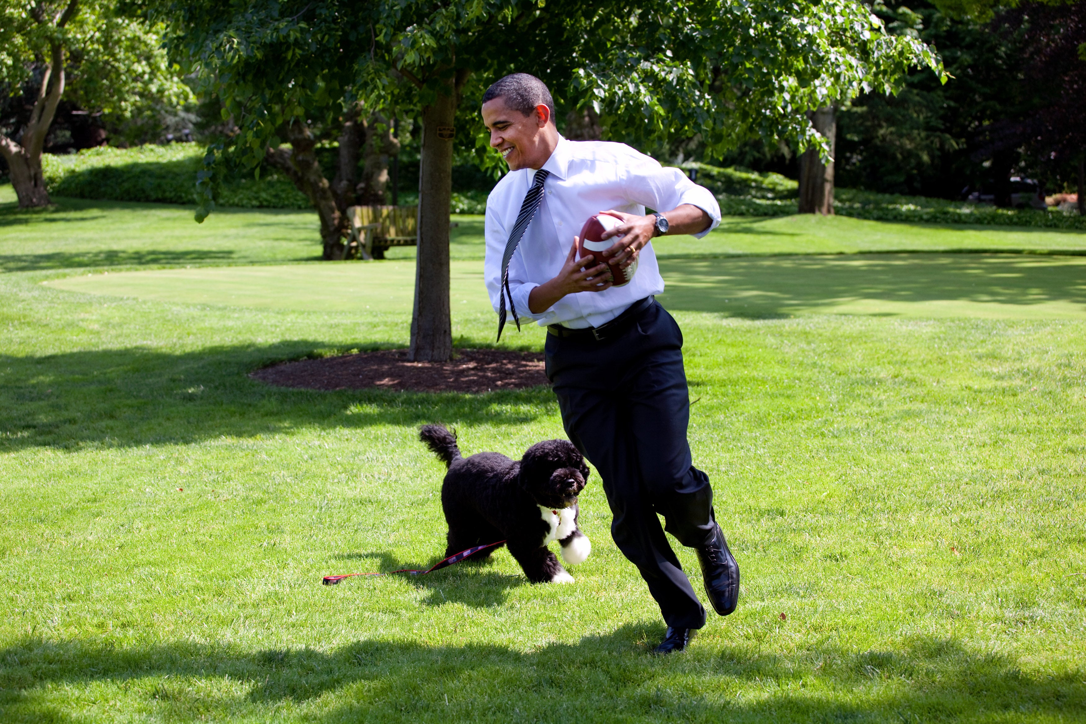 Numerous recent presidents, including Obama, have had pets in the White House