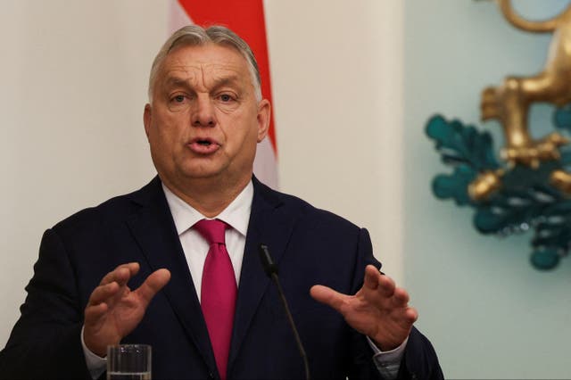 <p>Hungarian prime minister Viktor Orban </p>