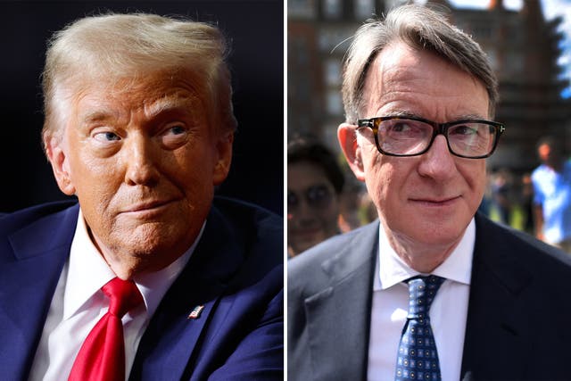 <p>Trump expected to make a decision on Mandelson this week </p>