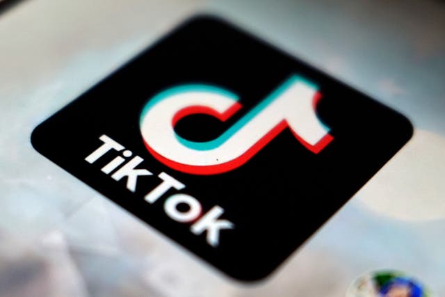 <p>The US TikTok ban is set to come into force soon </p>