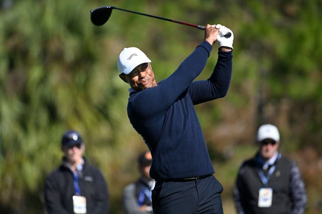 Tiger Woods tees off on the fifth hole during the first round of the PNC Championship (Phelan M Ebenhack/AP)