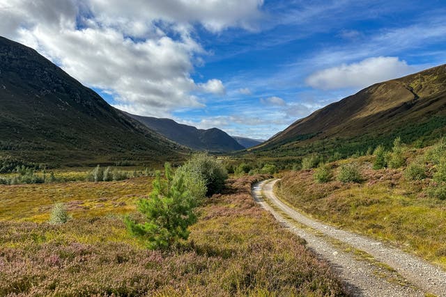 Nature projects at Alladale Wildlife Reserve aim to restore healthy ecosystems (HEIF/European Nature Trust/Gethin Chamberlain/PA)