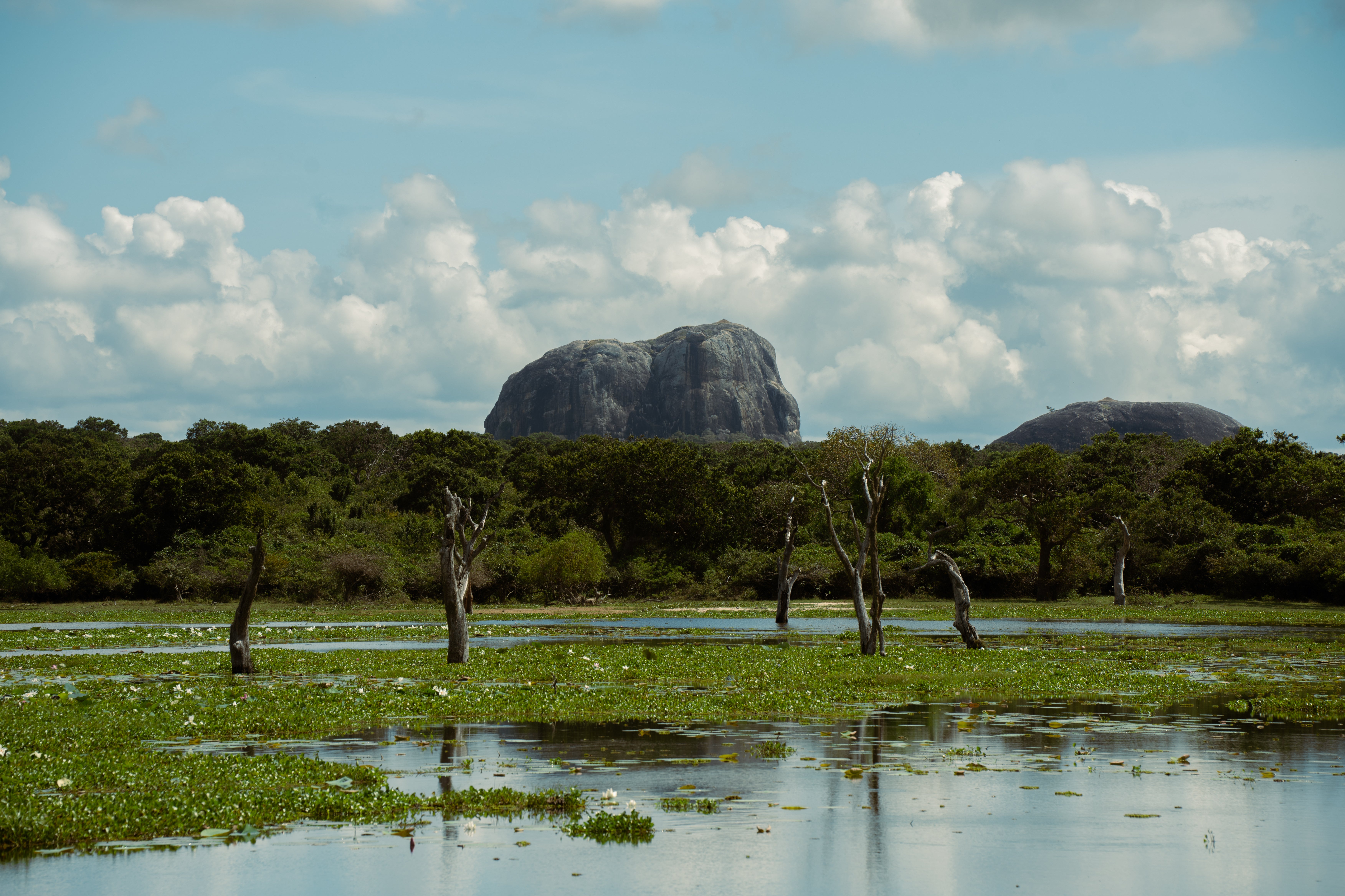 The forest, grassland and lagoons border the Indian Ocean