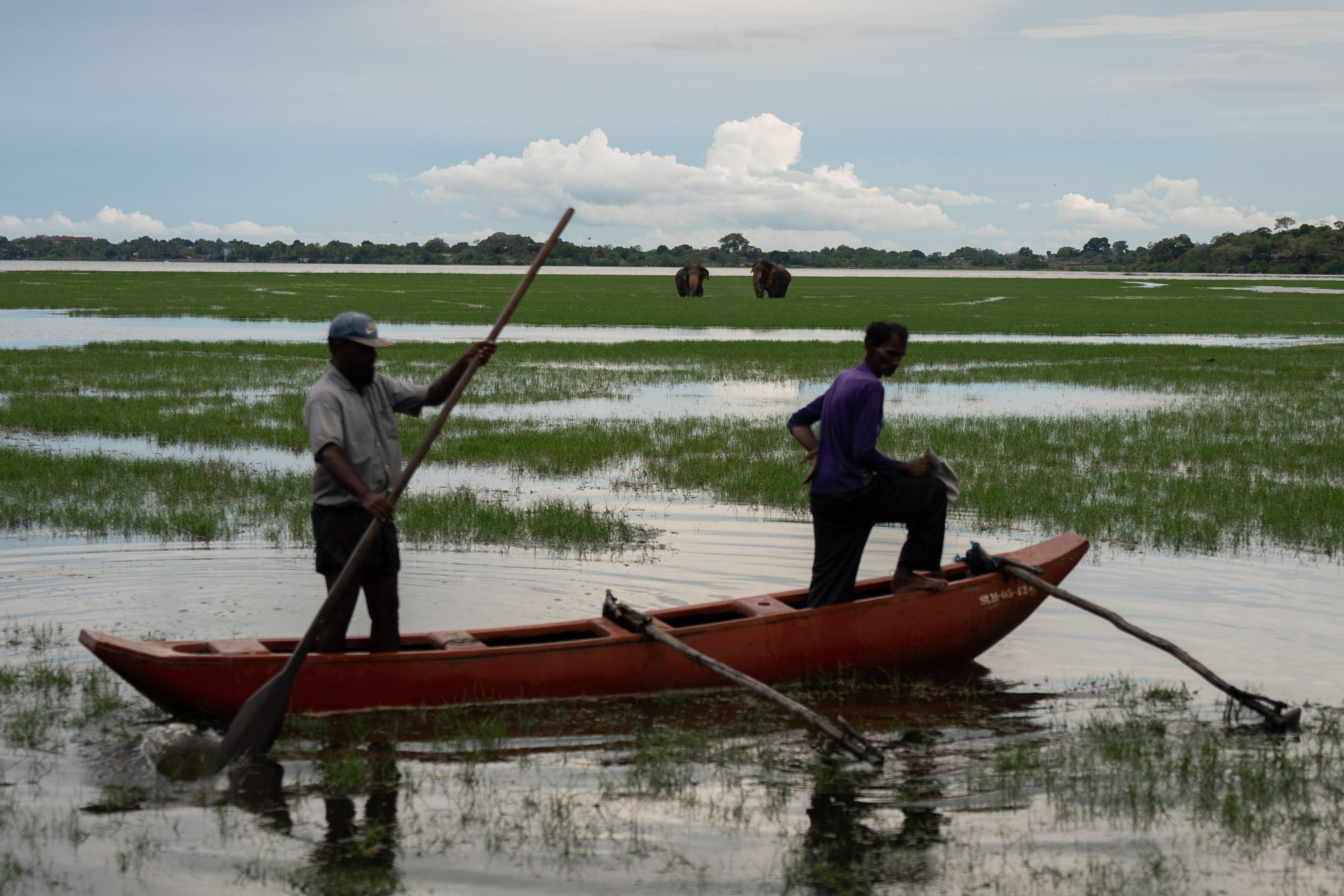 Yala National Park now tells a story of resilience in its wildlife and the people who call it home