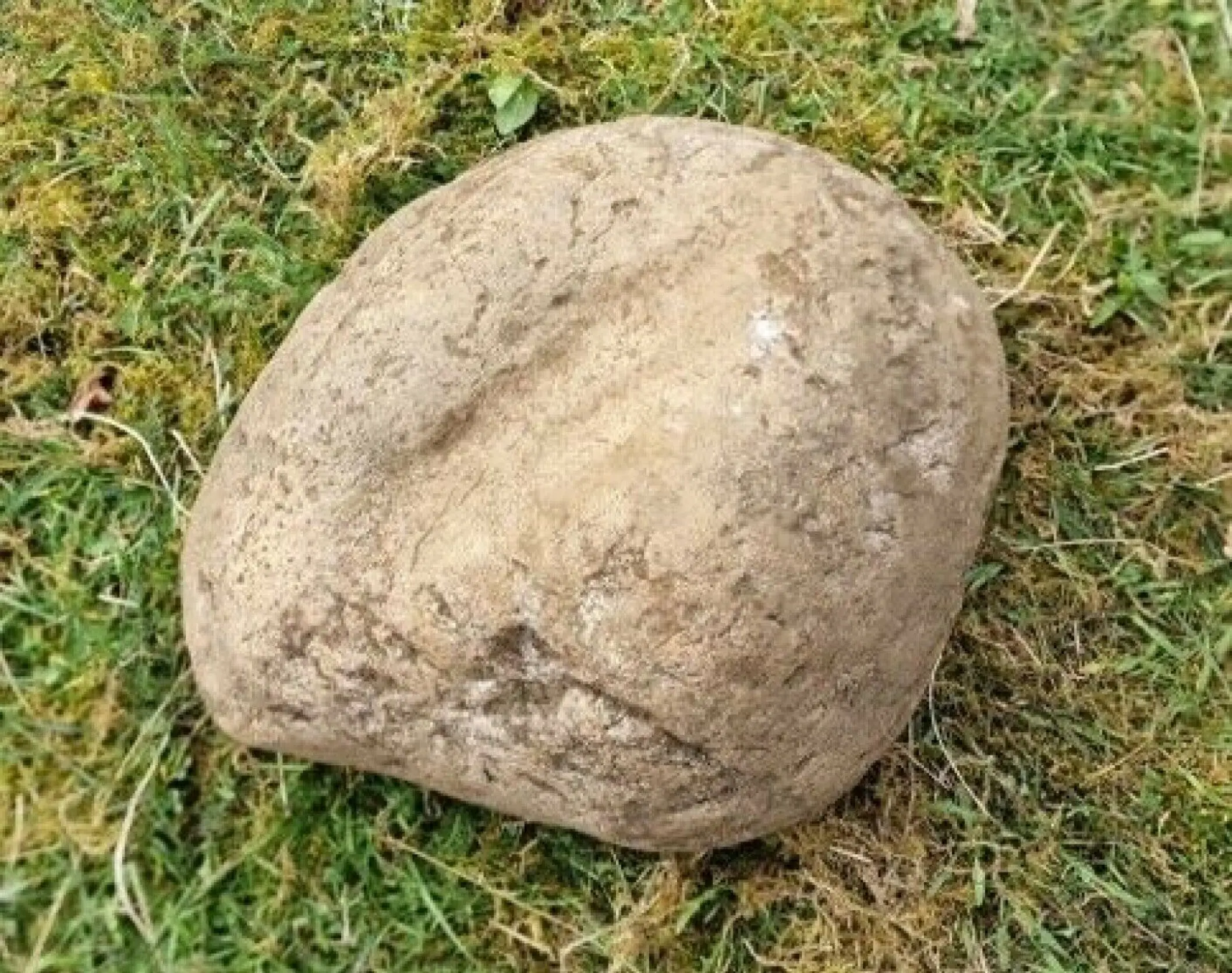 Stone at heart of boat formation that archaeologists call vulva stone