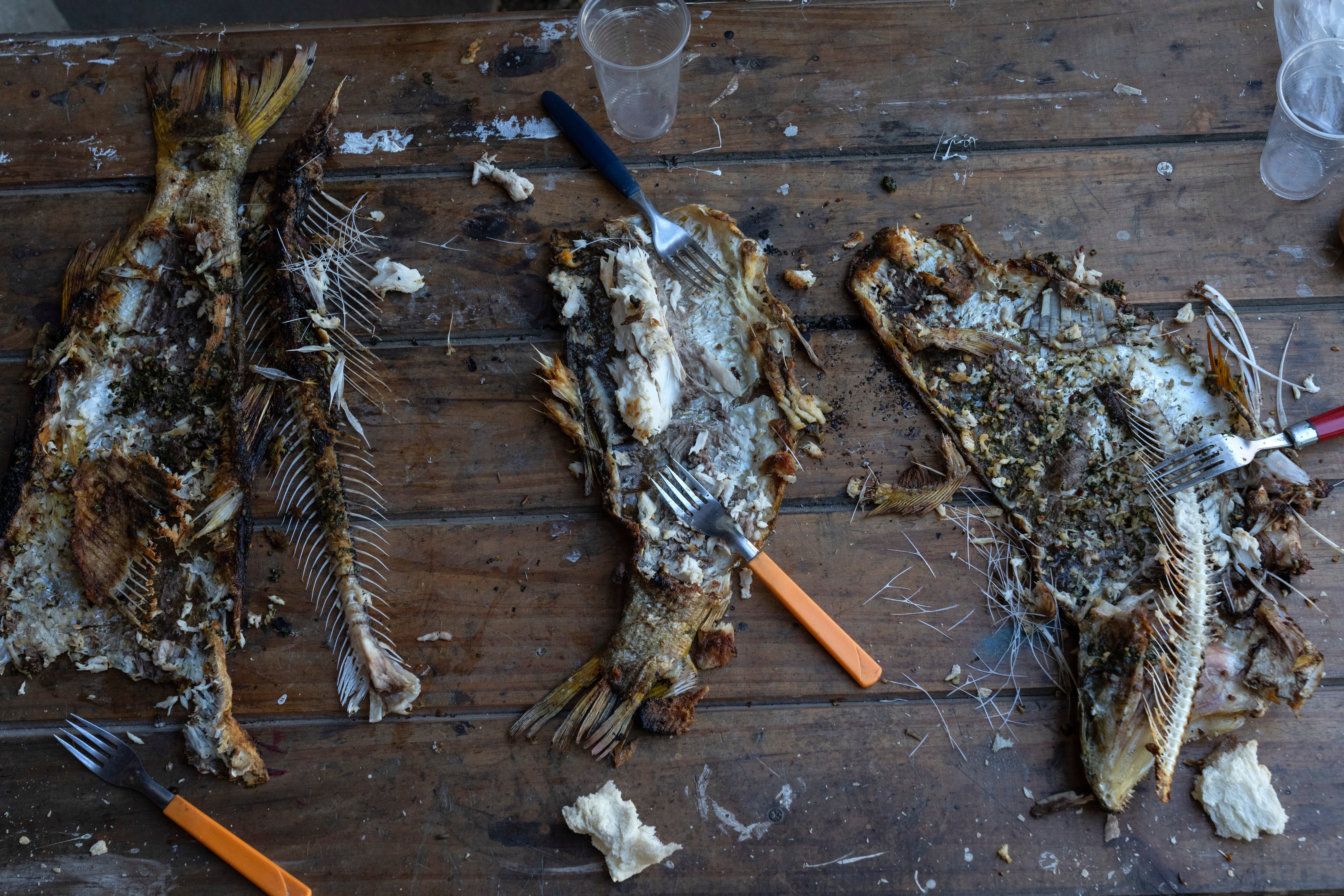 Argentina Mighty River Photo Essay