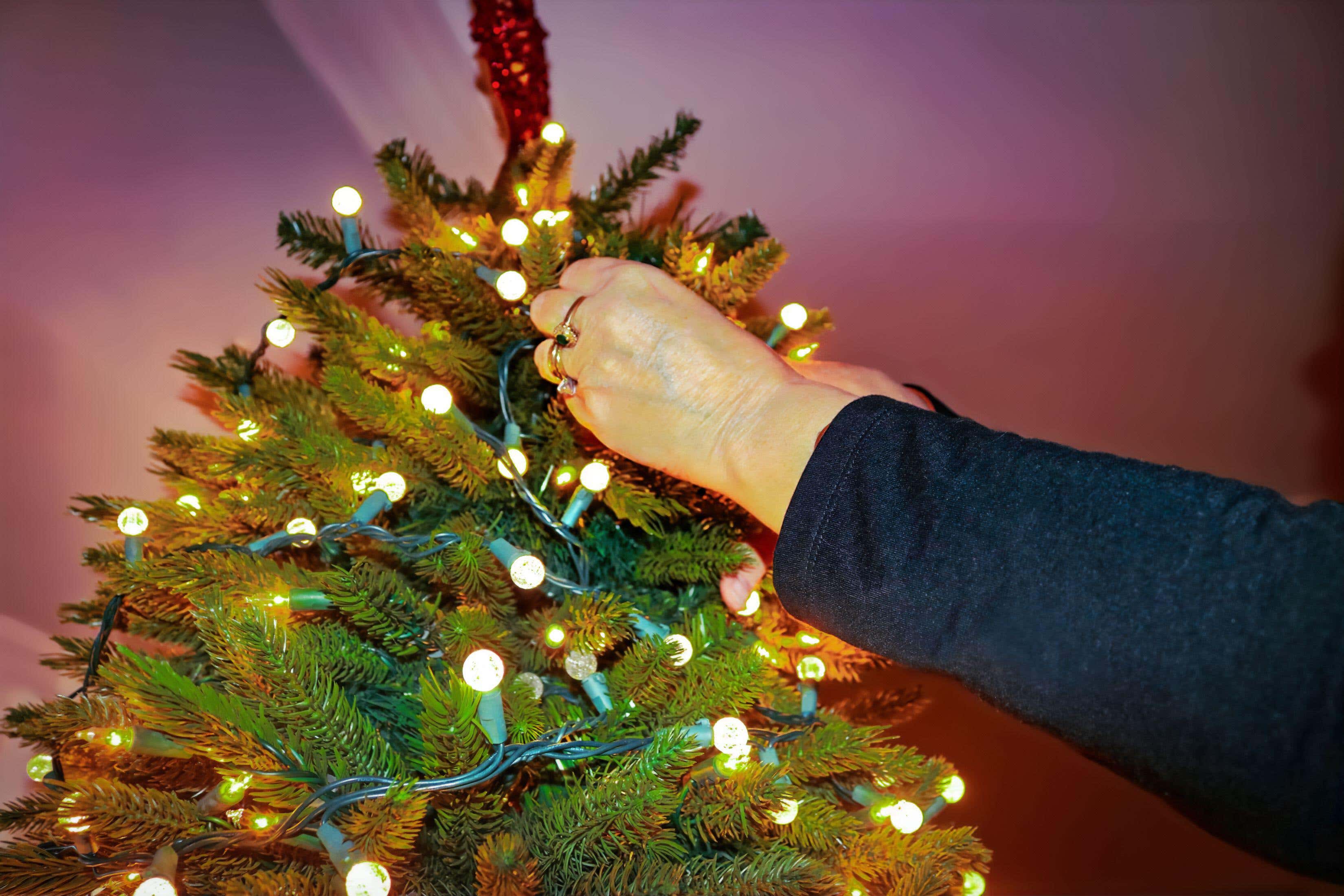 Christian tradition says your Christmas tree should stay up until the Twelfth Night (Alamy/PA)