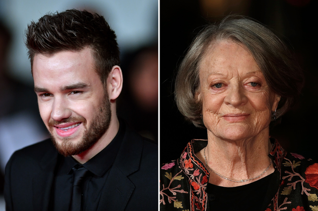 <p>Liam Payne and Maggie Smith were among the biggest stars we lost in 2024</p>