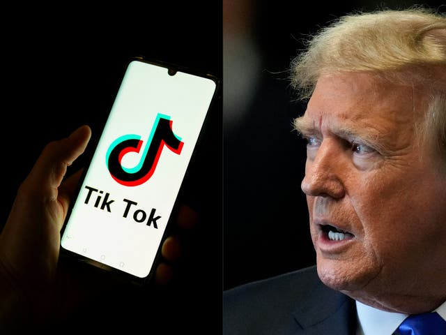 <p>Donald Trump is asking the Supreme Court to pause an imminent ban or forced sale of TikTok to allow his incoming administration a chance to find a solution </p>