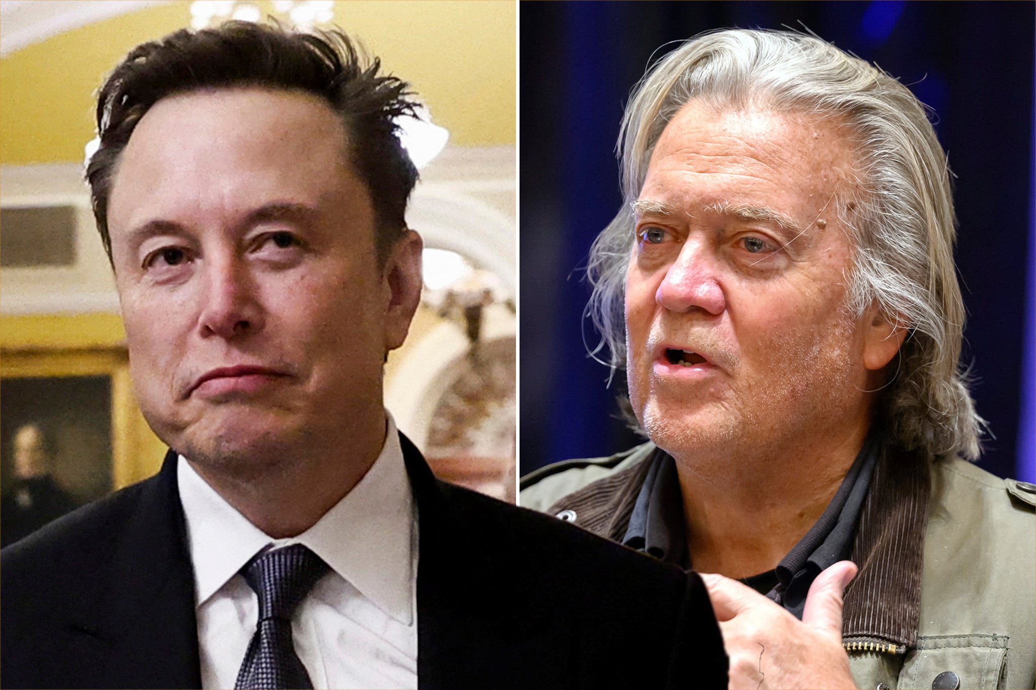 Elon Musk and Steve Bannon