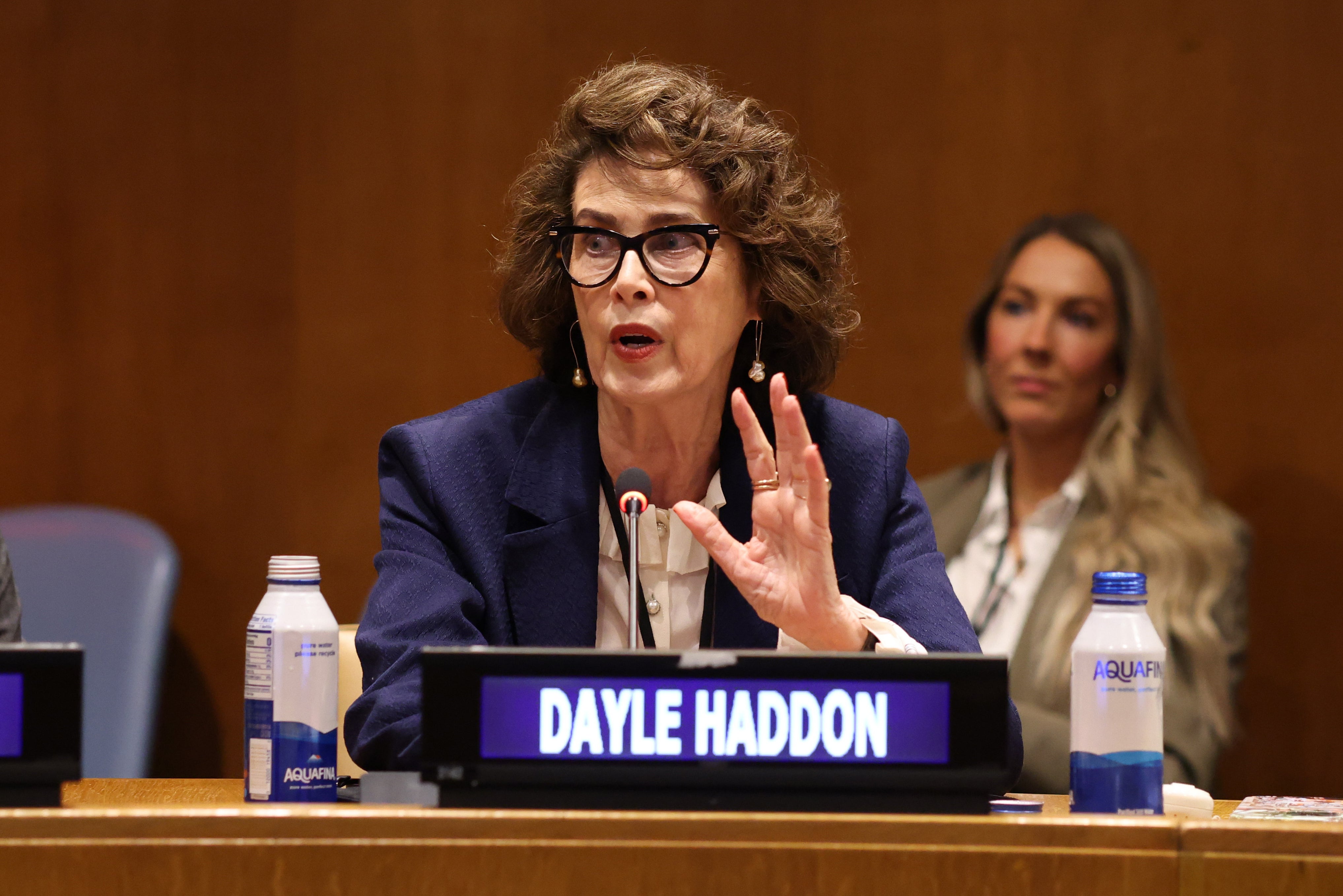 Dayle Haddon, pictured in 2024, was a UNICEF Ambassador and founded the New York-based WomenOne charity