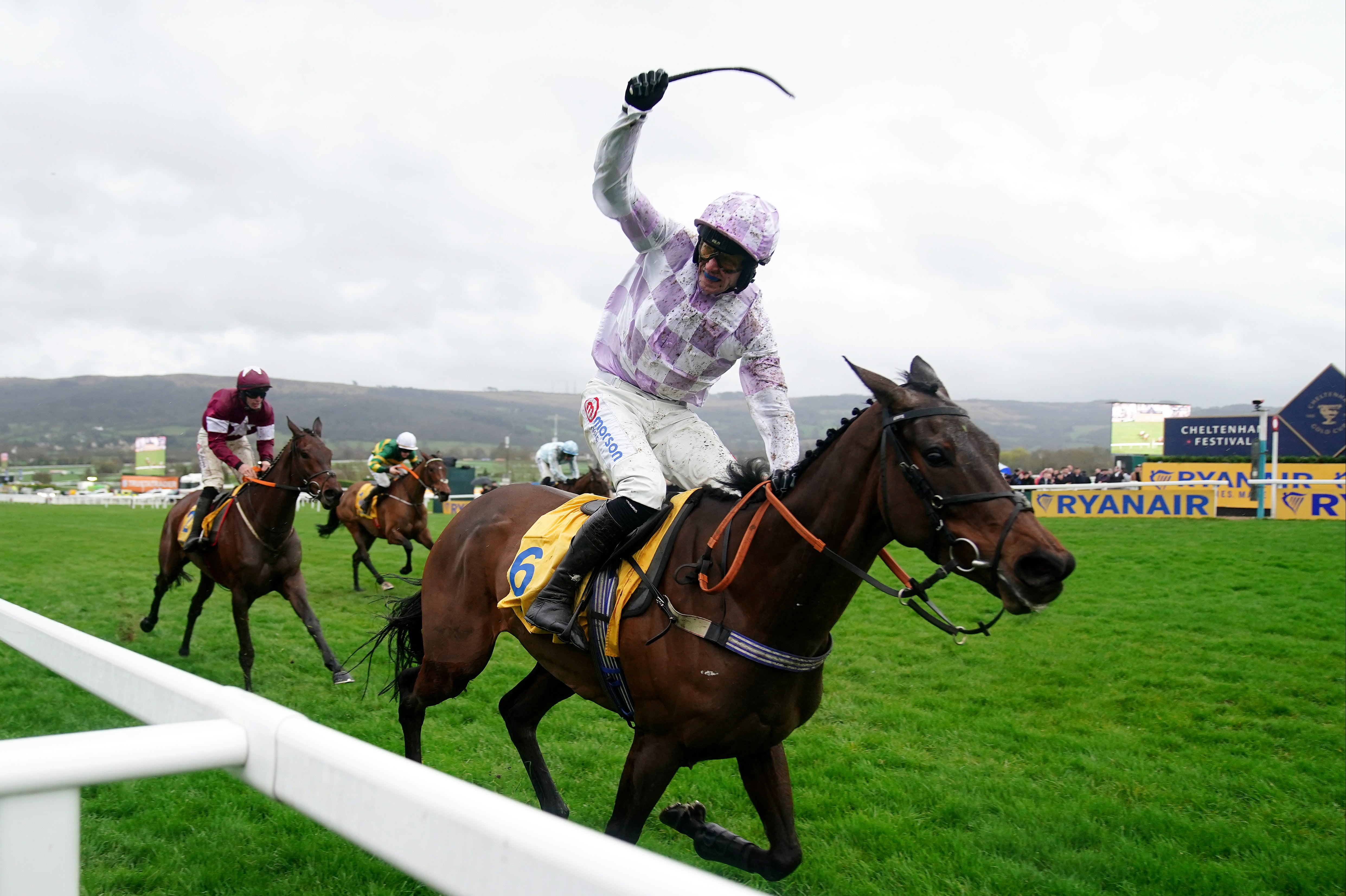 Golden Ace is fancied as an each-way bet in the Relkeel Hurdle