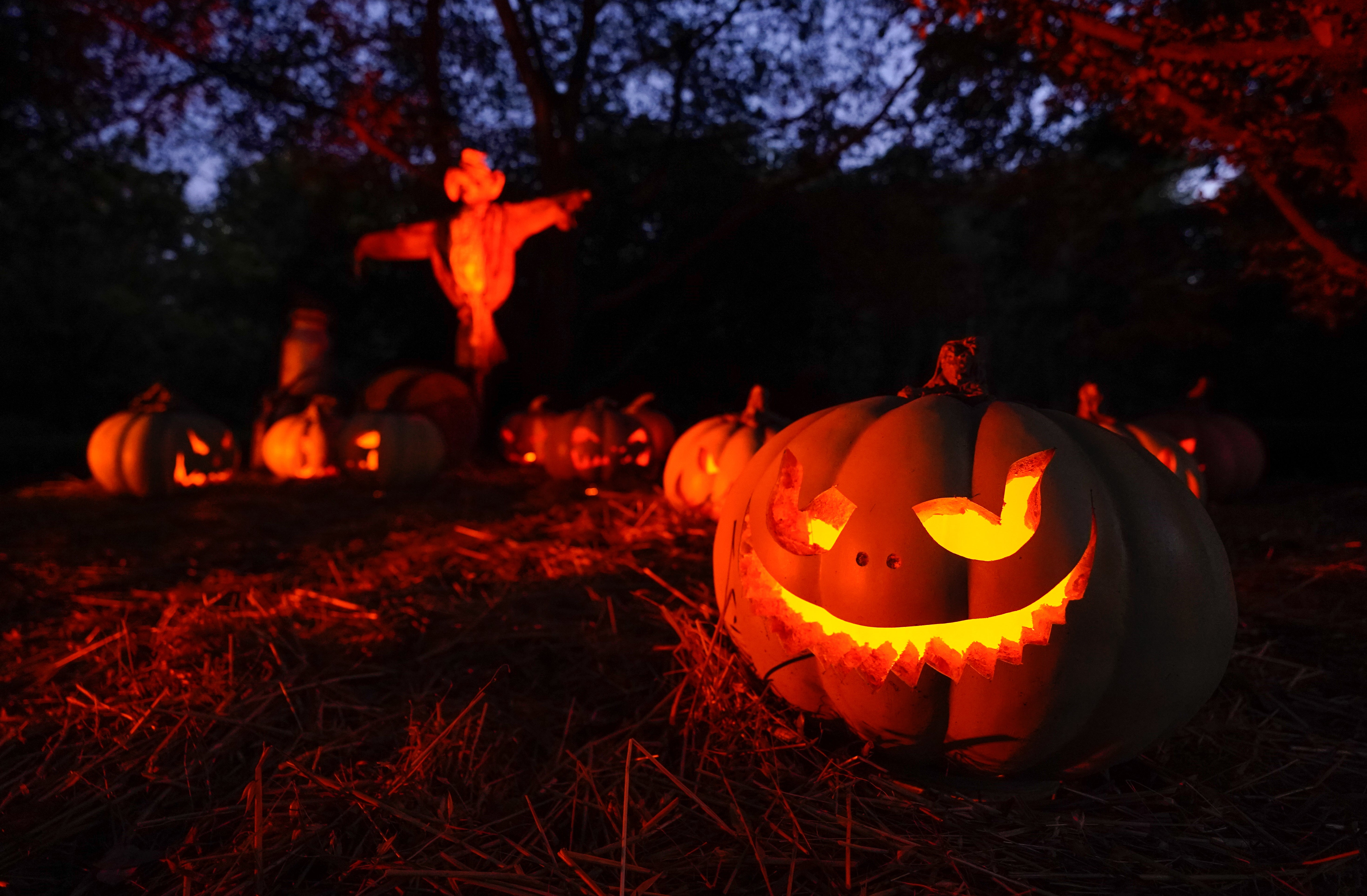Pumpkins in the Possessed Pumpkin Farm on the Halloween trail at the Royal Botanic Gardens, Kew