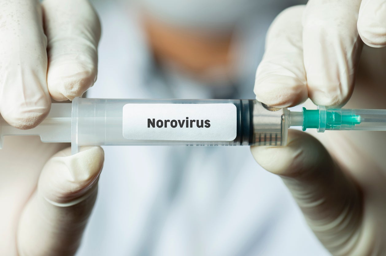 Norovirus cases remain high