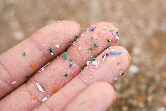 <p>A hand holds tiny plastic particles, that are known as microplastics and nanoplastics. Plastic pollution has permeated the air and water, as well as the human body. But the extent of that pollution and its impacts are still being uncovered</p>