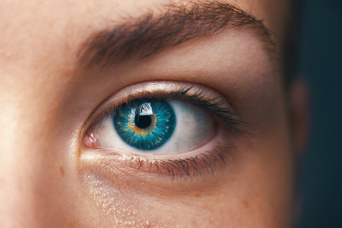 Pupil optimises the amount of light hitting the retina