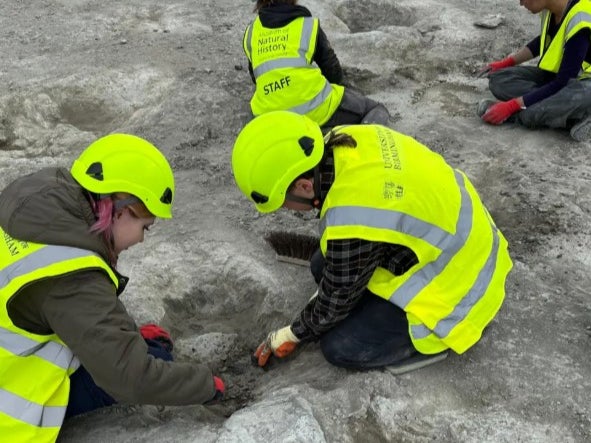 The dinosaur trackways were discovered by a worker in a quarry in Oxfordshire